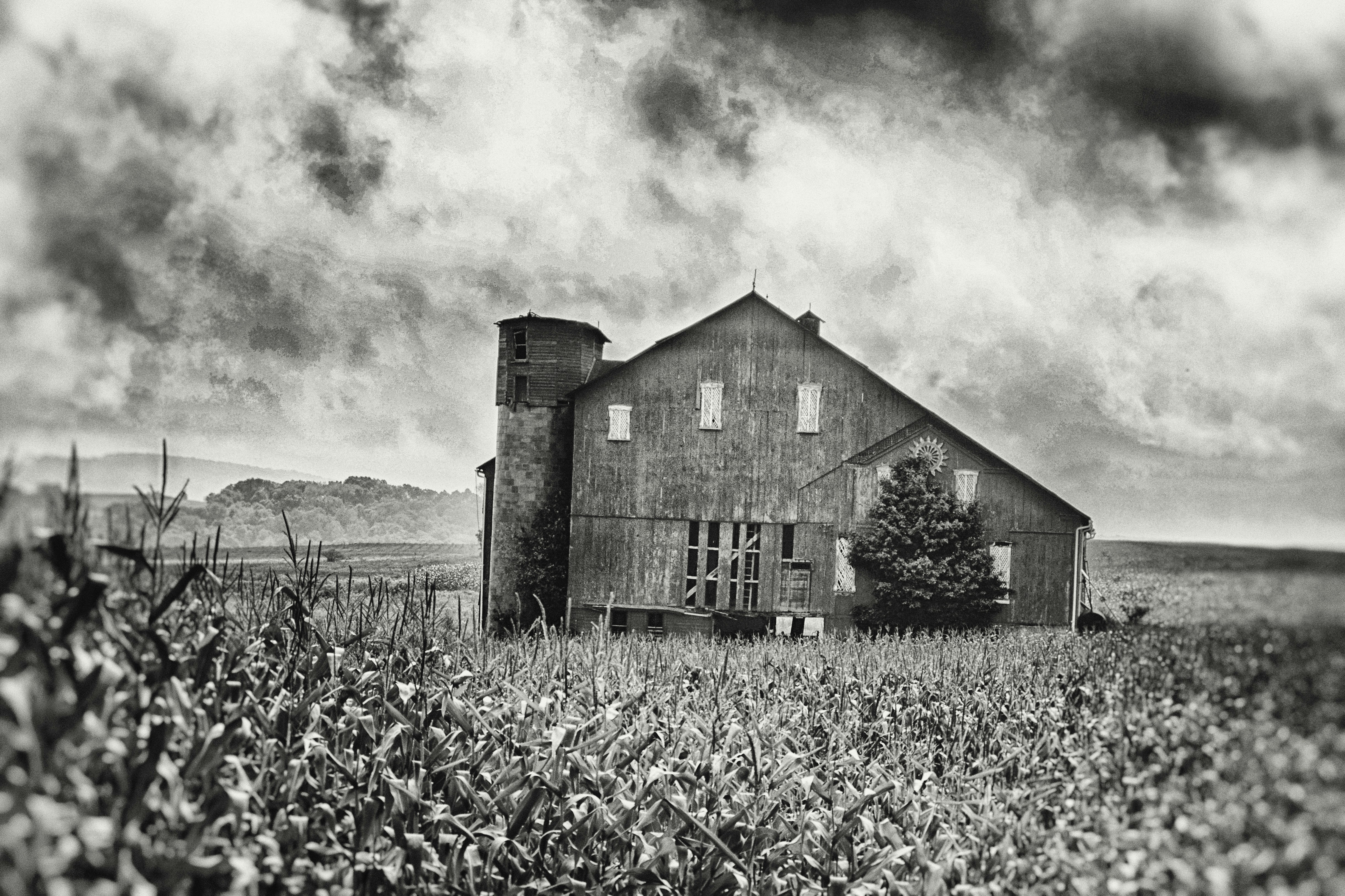 Photo By Dawn Armfield