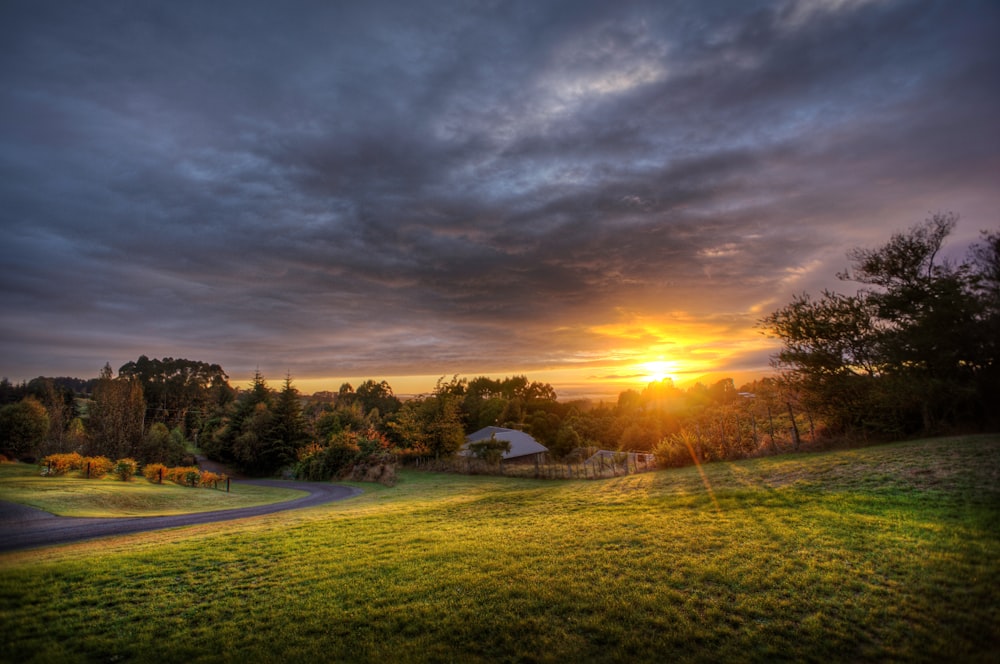 green grass field near green trees with sun rays at sunset