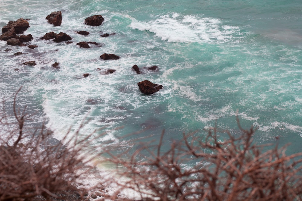 photo of beach at daytime