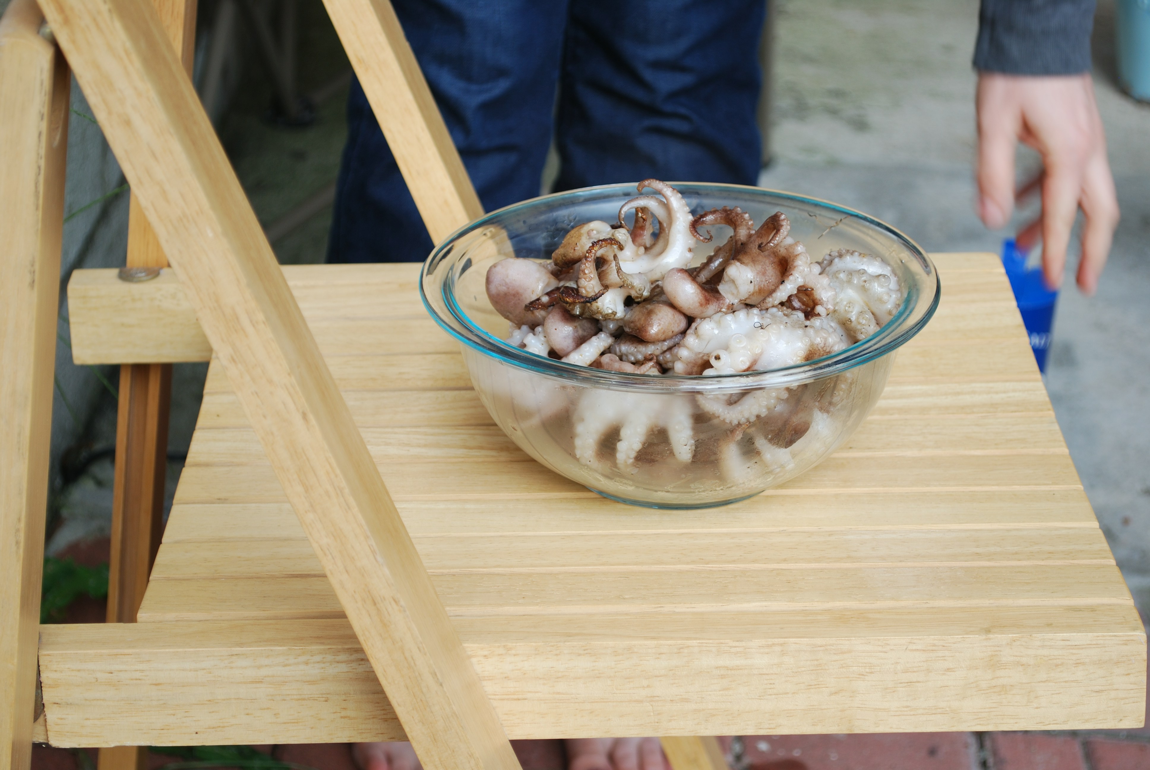 Free Unsplash photo from Carl C. Haynes