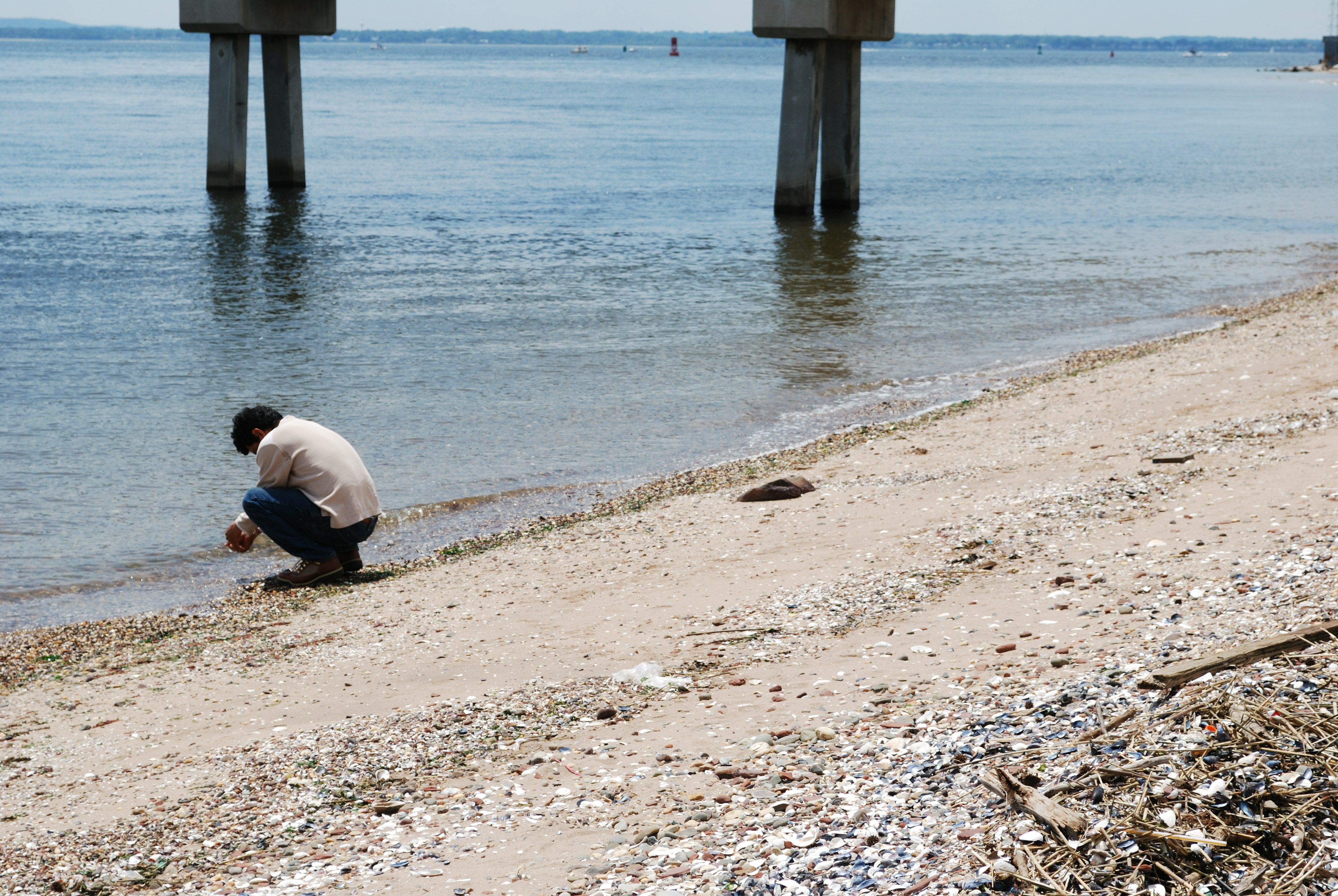 Free Unsplash photo from Carl C. Haynes