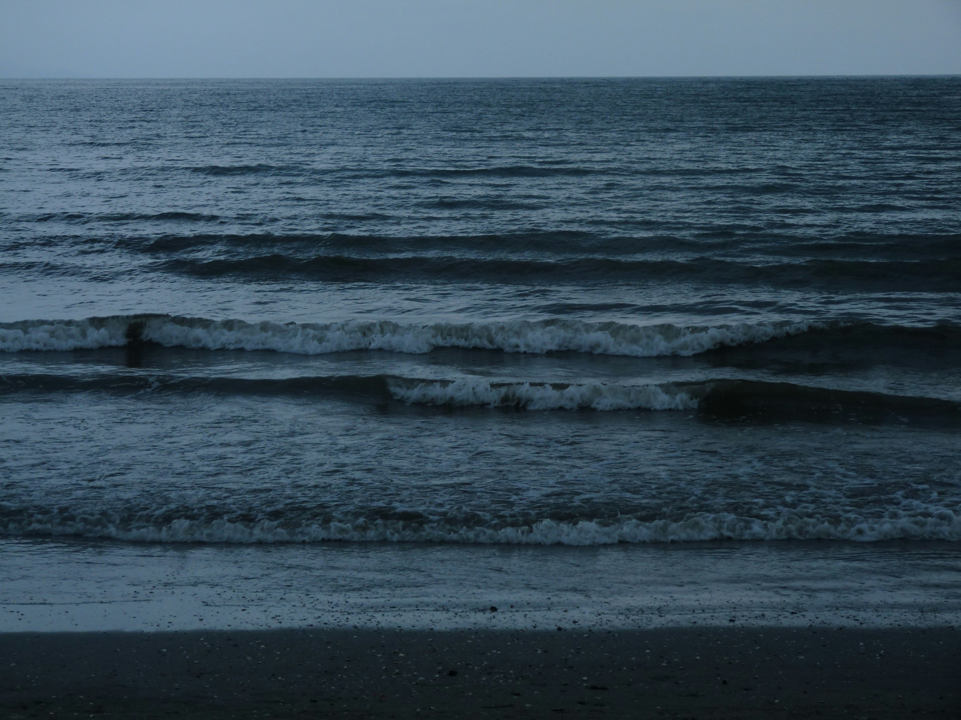 Free Unsplash photo from Nelson Biagio Junior