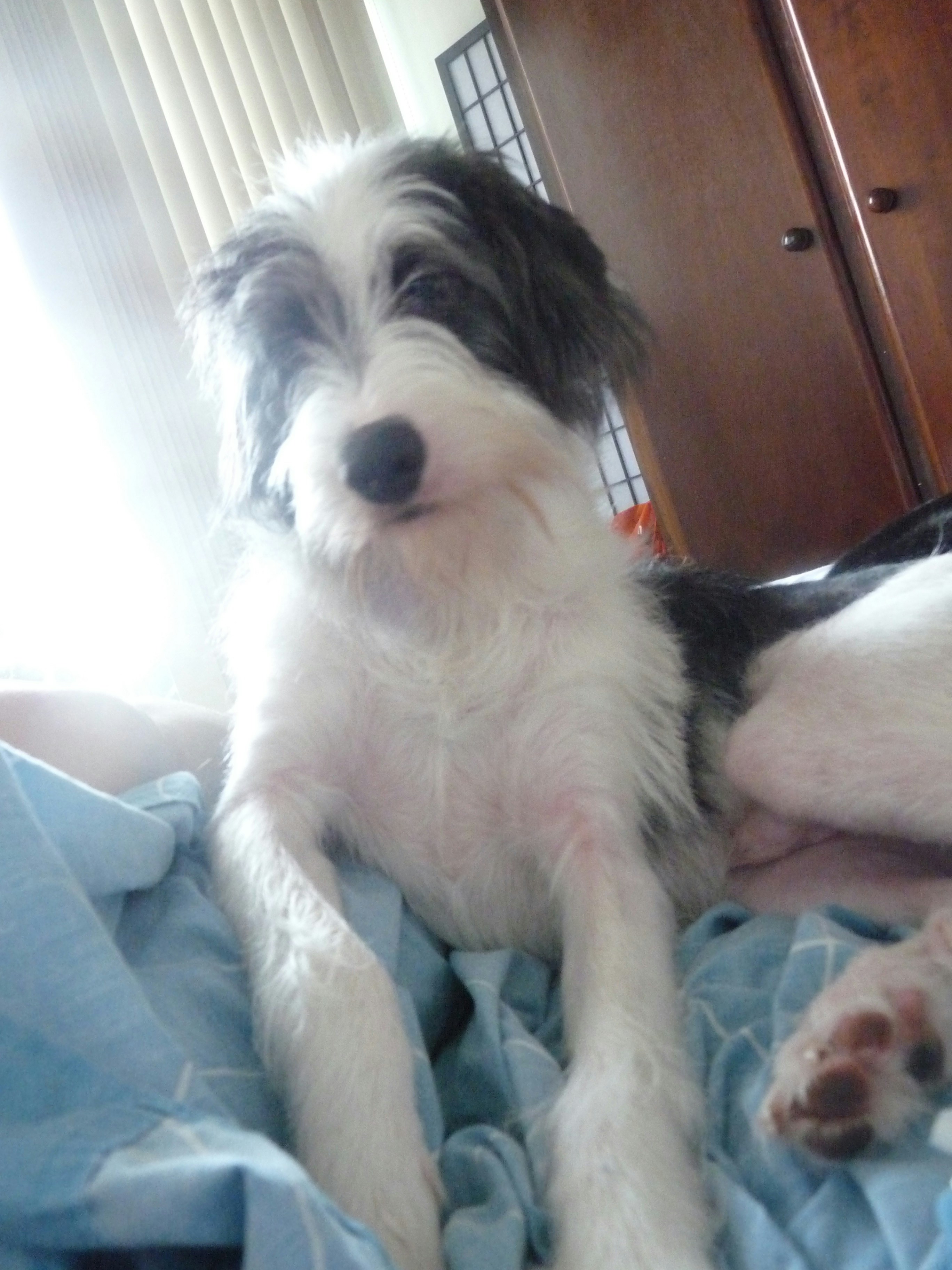 Free Unsplash photo from Nelson Biagio Junior