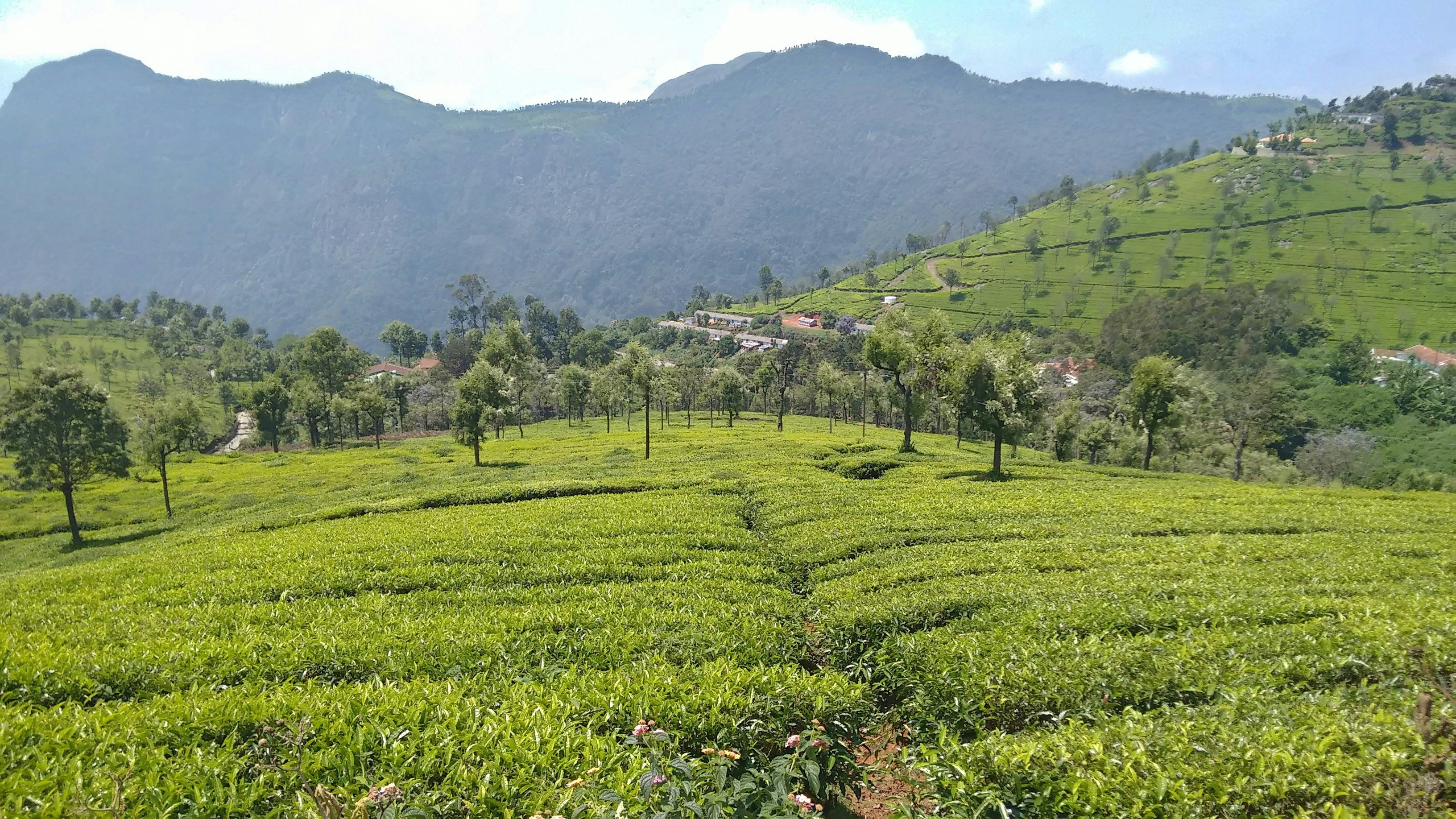 Free Unsplash photo from Ashish Bhardwaj