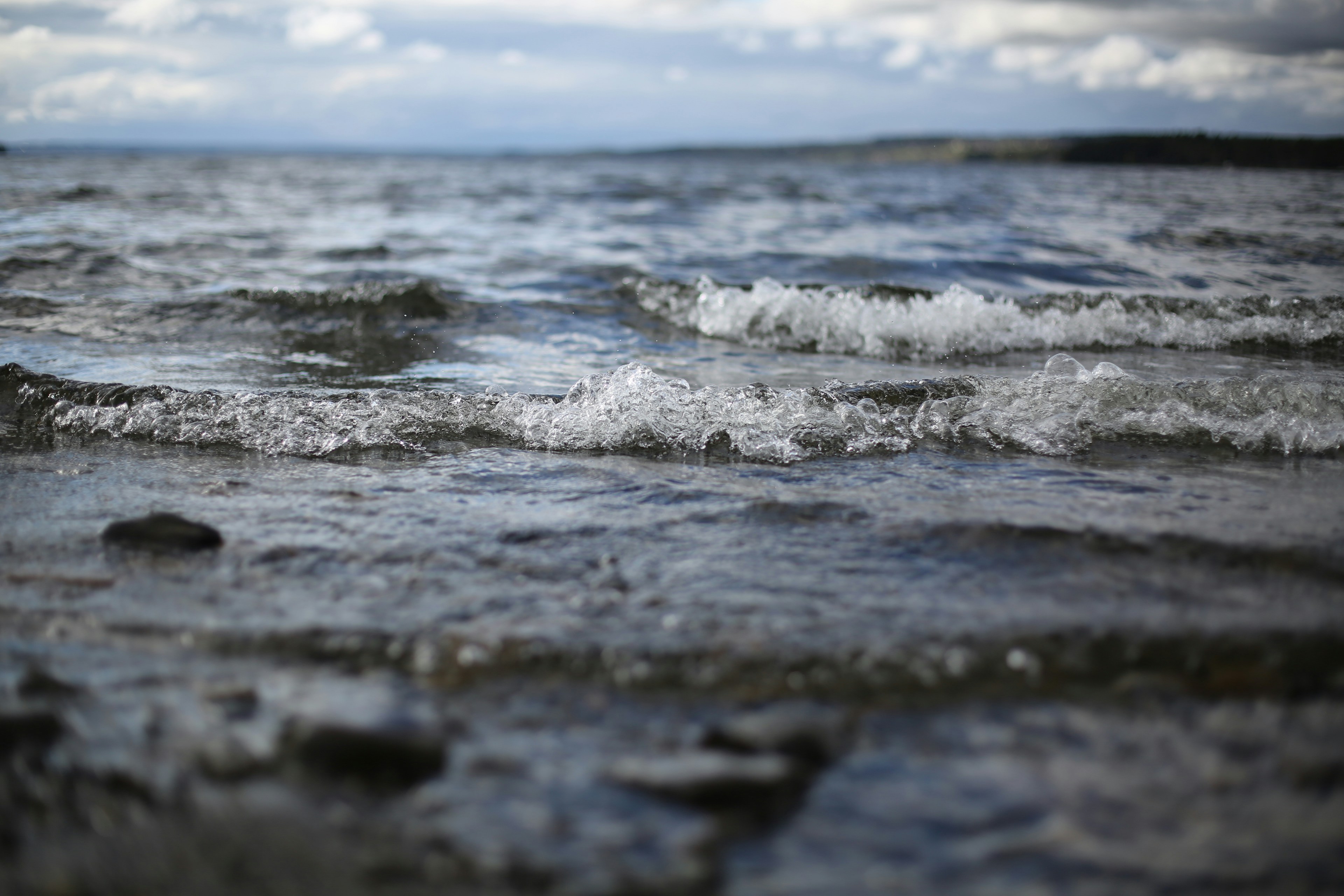 Free Unsplash photo from Therese Carlsson