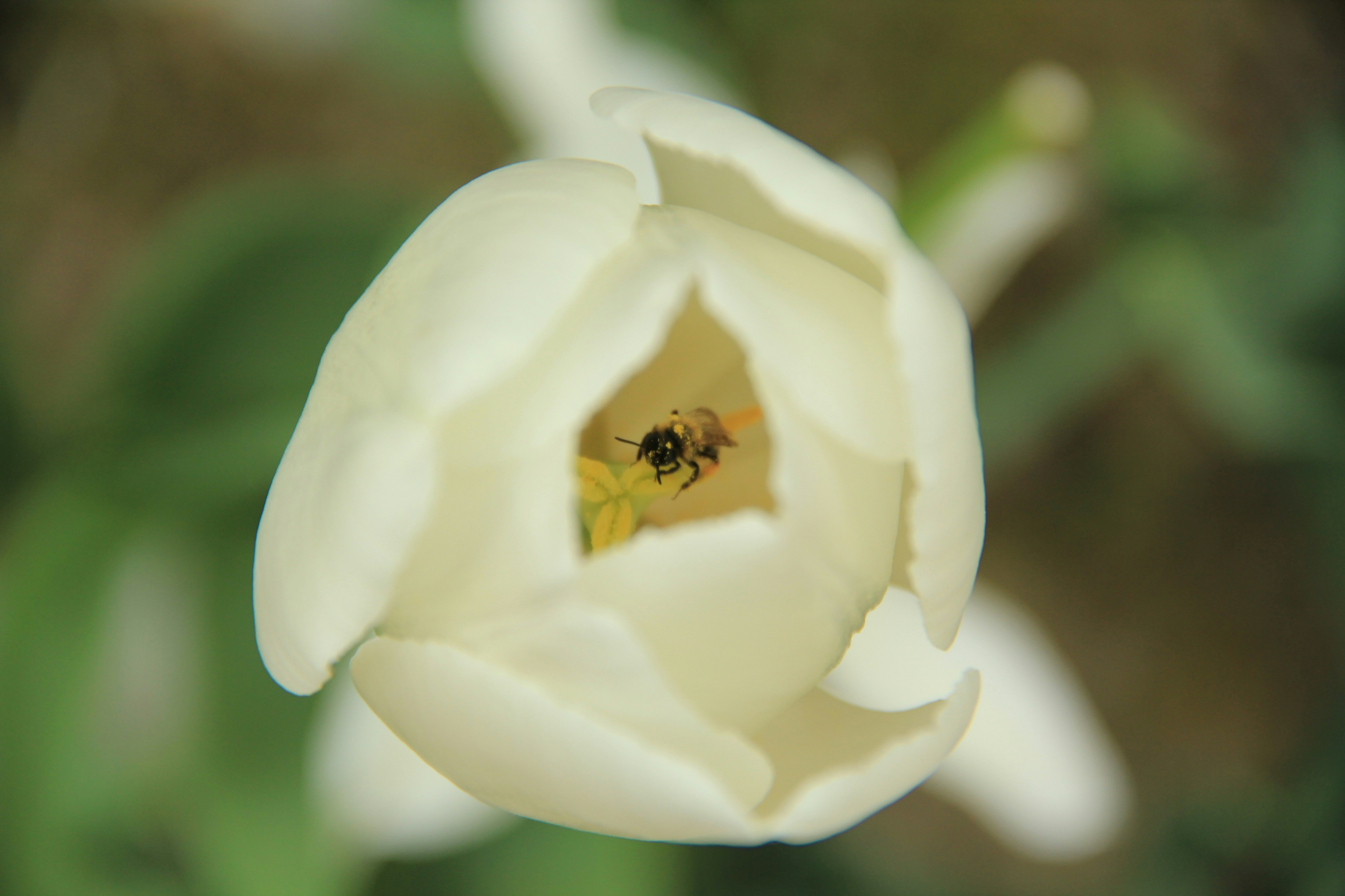 Free Unsplash photo from Davide Monfrecola