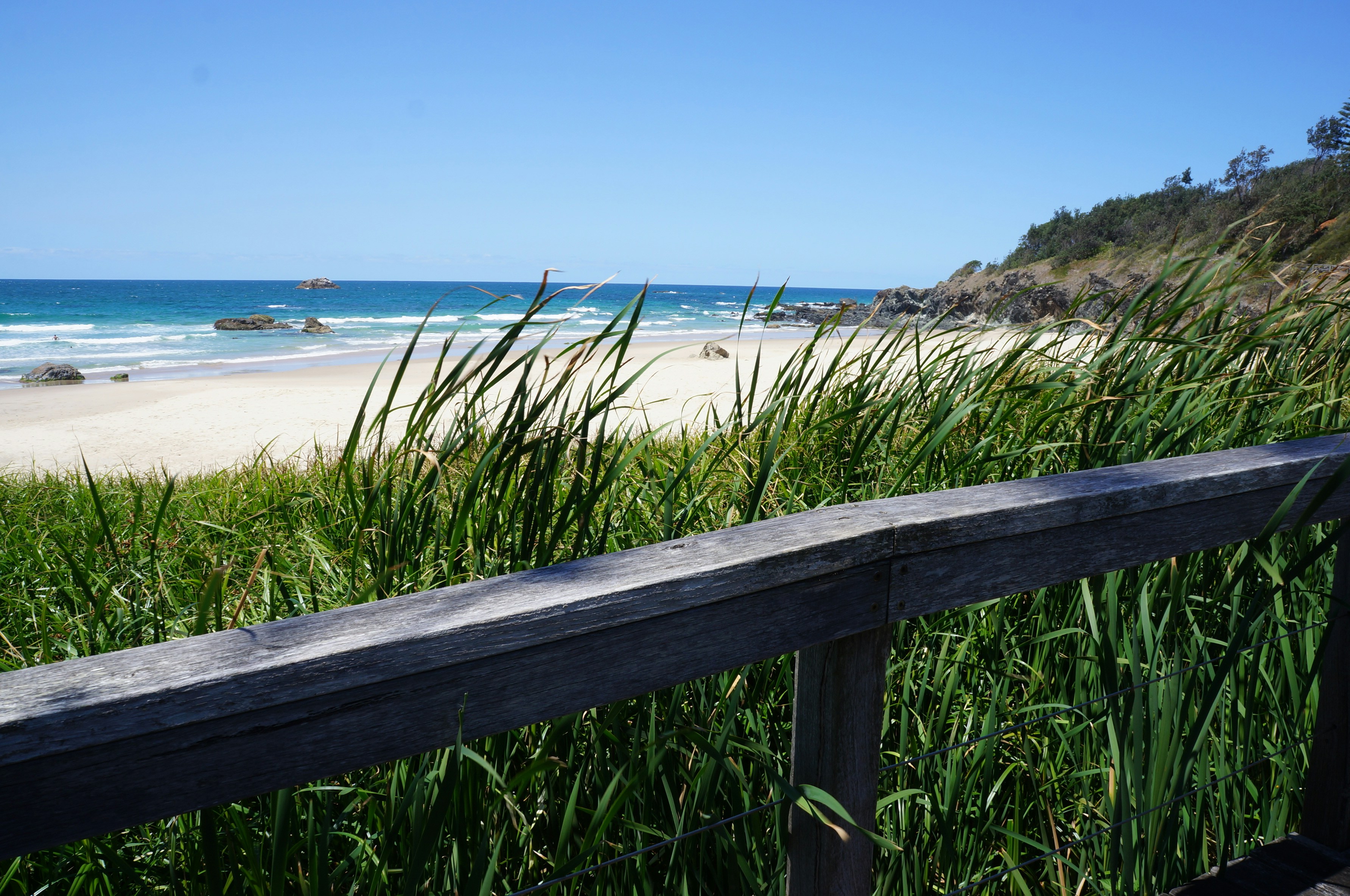 Free Unsplash photo from Michelle Retzlaff