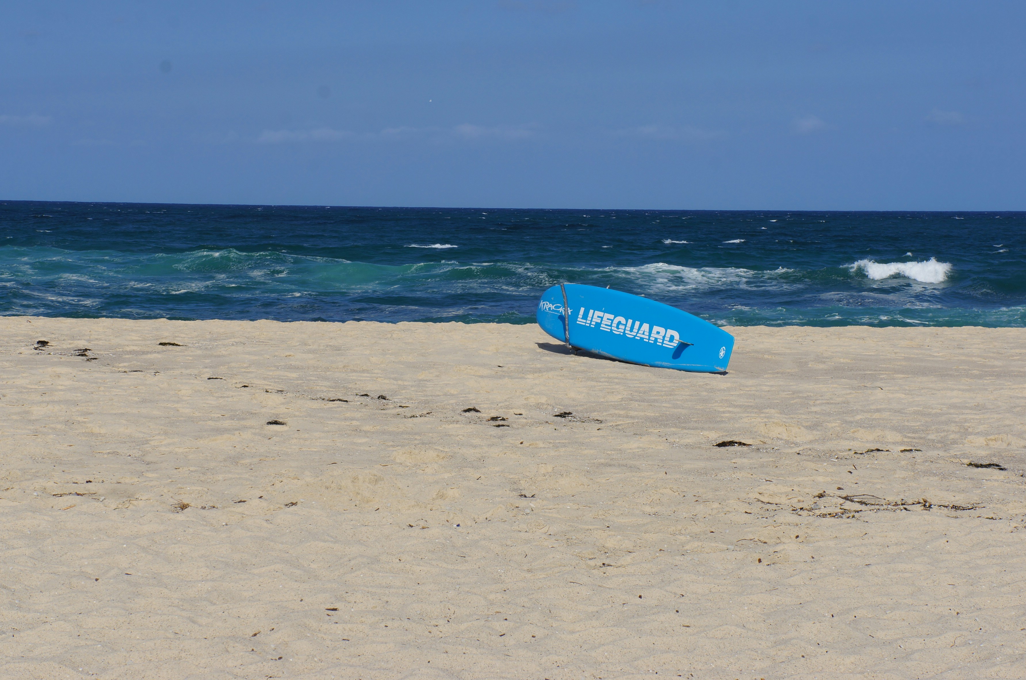 Free Unsplash photo from Michelle Retzlaff