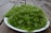 A serene close-up of fresh green herbs gently resting on a wooden table.