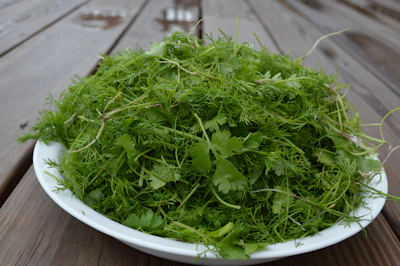Close-up of fresh green herbs and natural ingredients arranged on a wooden table, reflecting purity and nature.