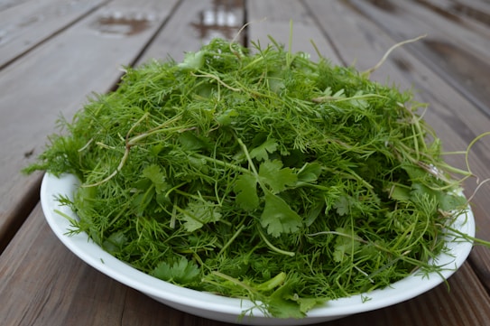 A white plate brimming with fresh green herbs sits on a wooden surface. The herbs appear to be an assortment of dill and cilantro, with delicate, feathery leaves and vibrant green tones. The wooden surface is textured and slightly wet, suggesting recent cleaning or rain.