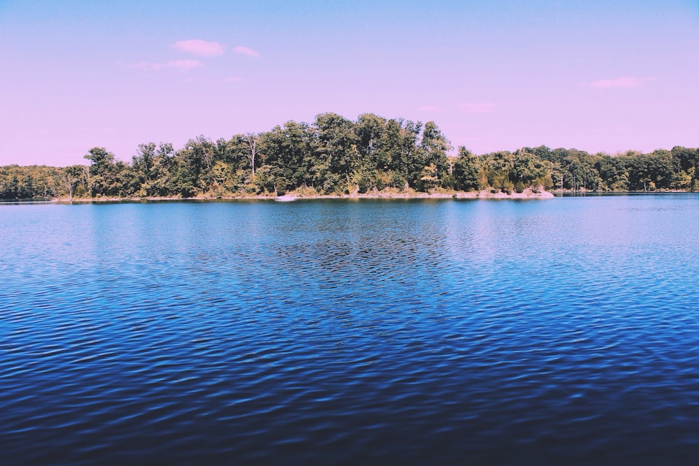 옆에 푸른 나무가 있는 수역의 풍경 사진