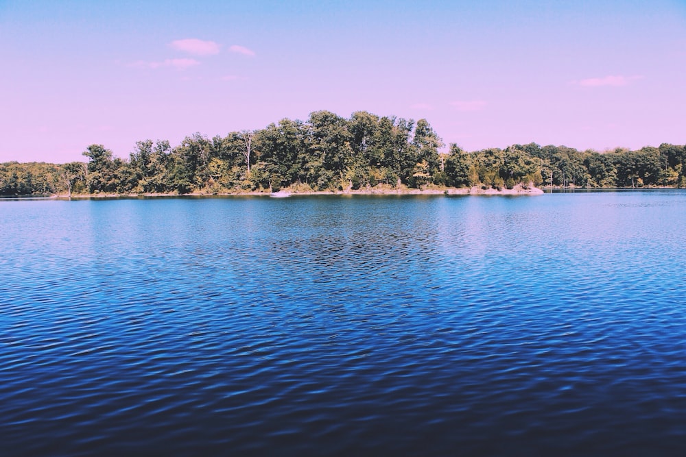 landscape photography of body of water with green trees beside