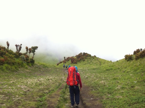 A hiker with a bright red backpack walks along a grassy trail flanked by low shrubs, leading towards a foggy hillside. The vegetation on either side of the path is lush and green, while patches of mist partially obscure the distant landscape. Other hikers are visible further along the trail, creating a sense of an adventurous journey.