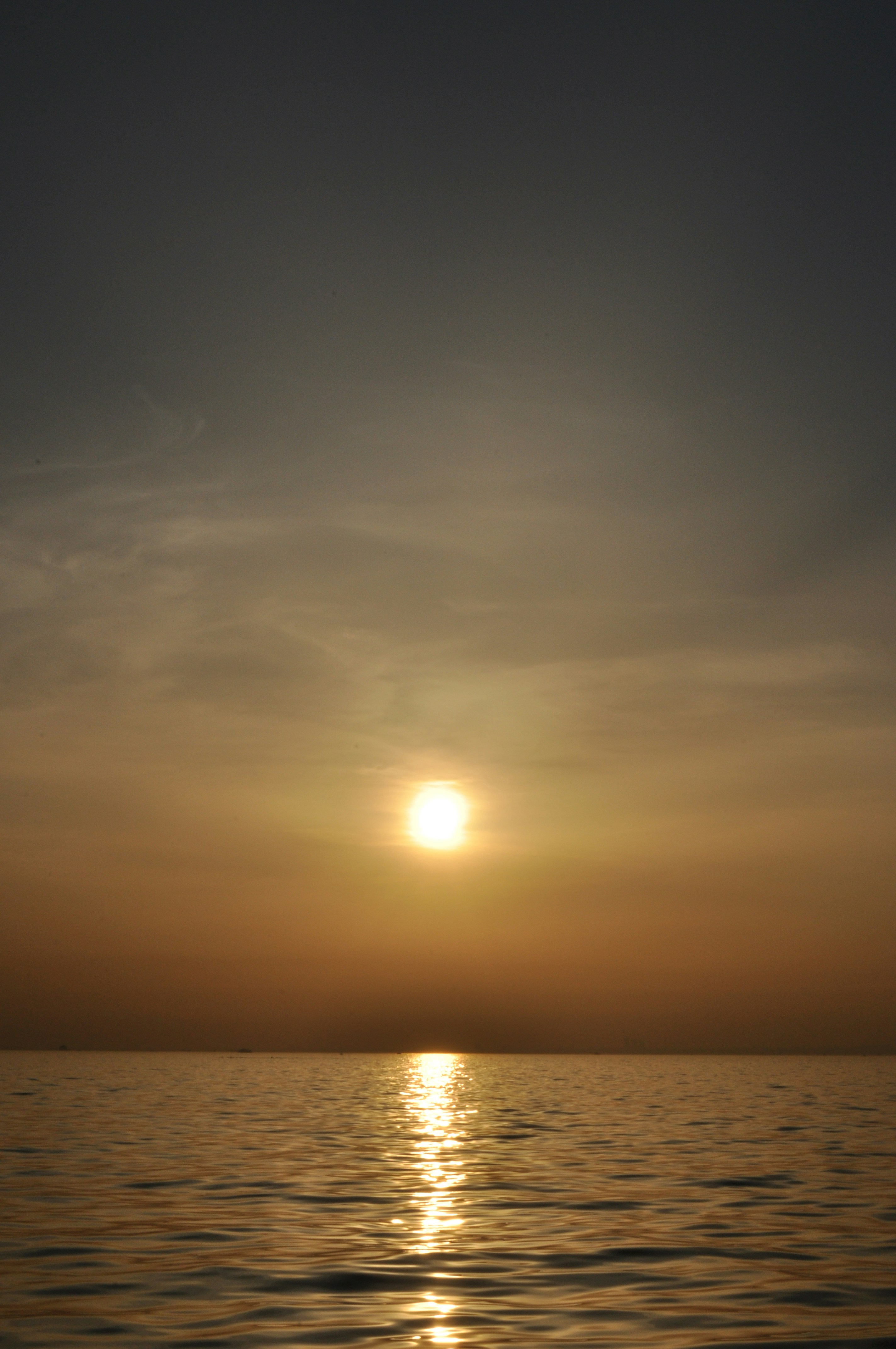 Free Unsplash photo from Ersin Çelik