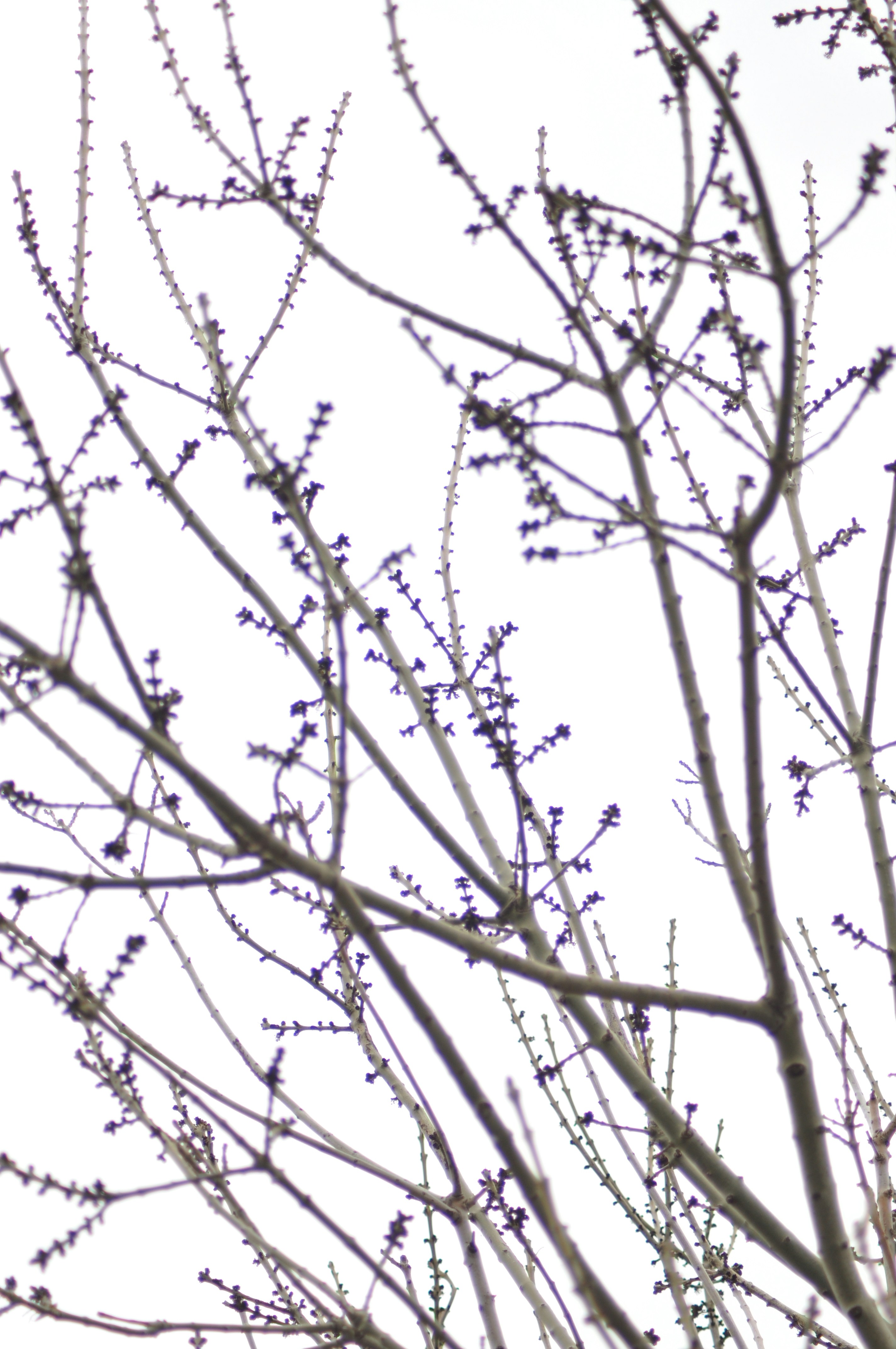 Free Unsplash photo from Ersin Çelik