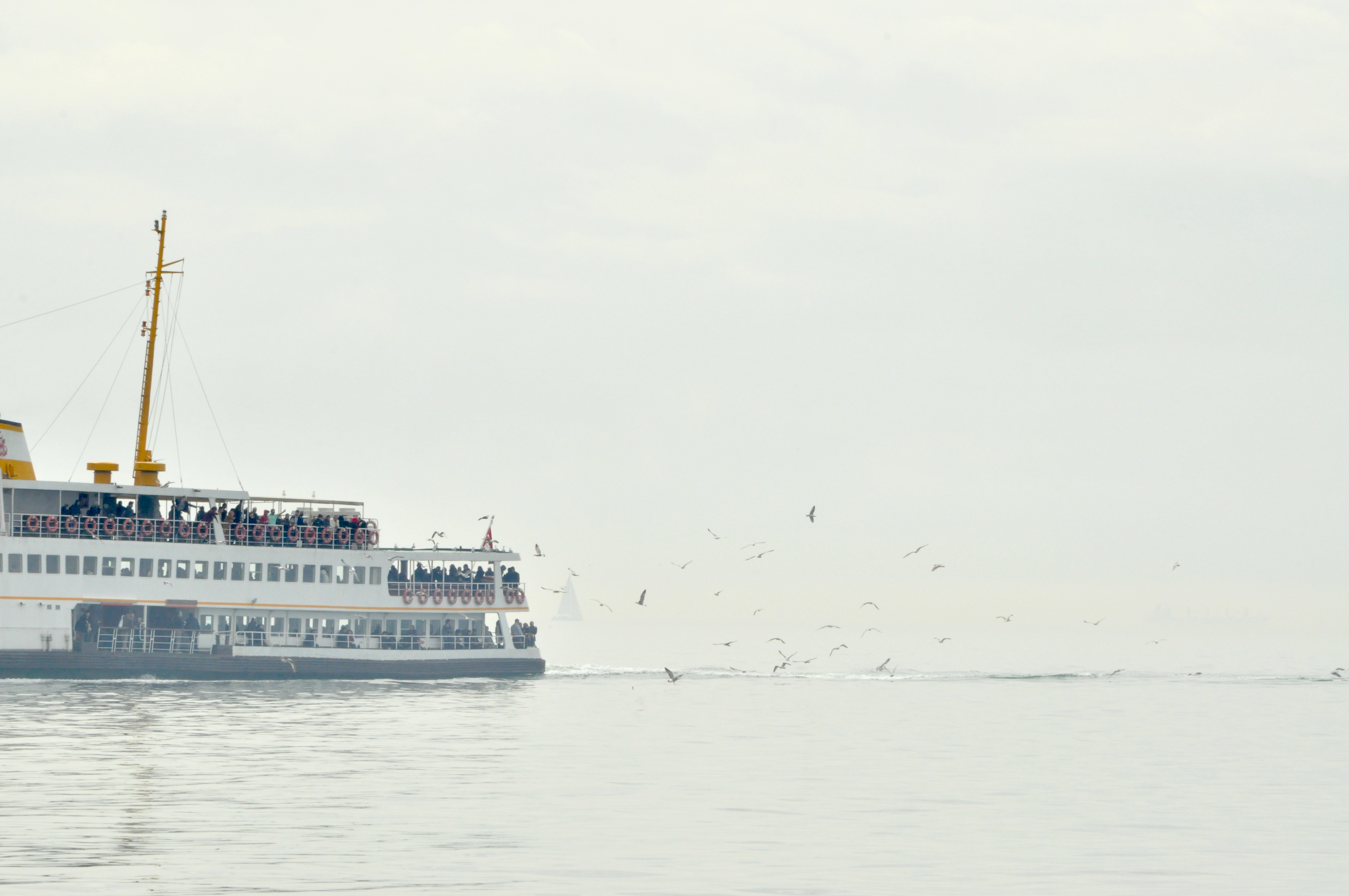 Free Unsplash photo from Ersin Çelik