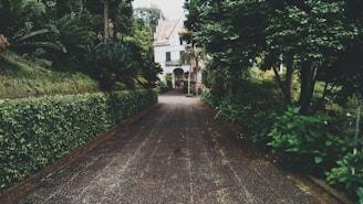 concrete pathway near white concrete storey house near trees at daytime