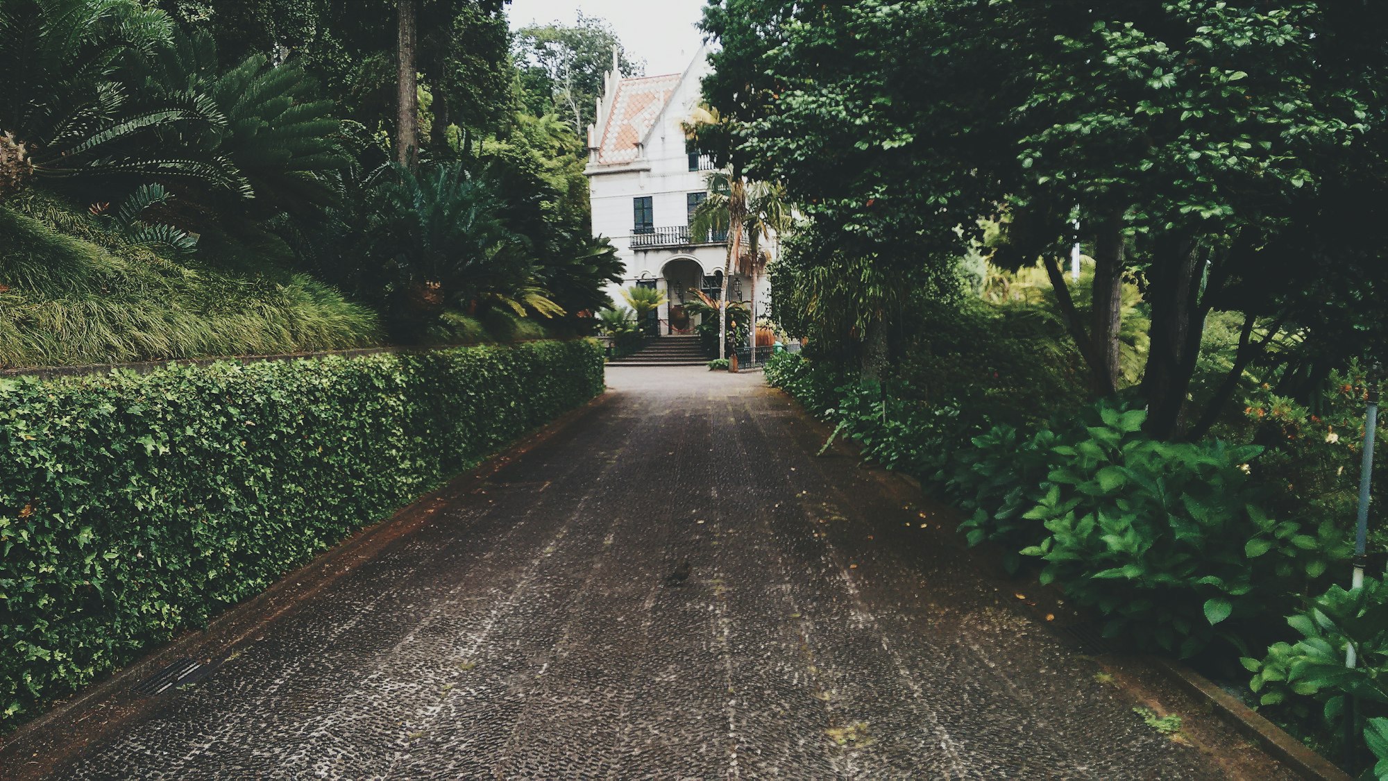 How to Choose the Best Driveway Surface