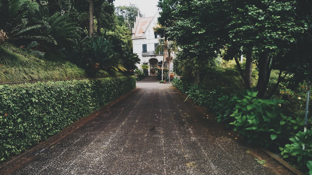 concrete pathway near white concrete storey house near trees at daytime