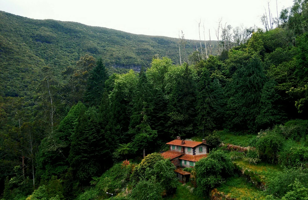 Maison au toit brun près de grands arbres pendant la journée