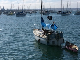A serene harbor filled with numerous sailboats gently bobbing on the water. In the foreground, a small sailboat with blue canvas hangs docked next to a purple dinghy. A person can be seen aboard, leaning over the side, appearing to be engaged in an activity. A black flag with a skull and crossbones is prominently displayed on the sailboat.