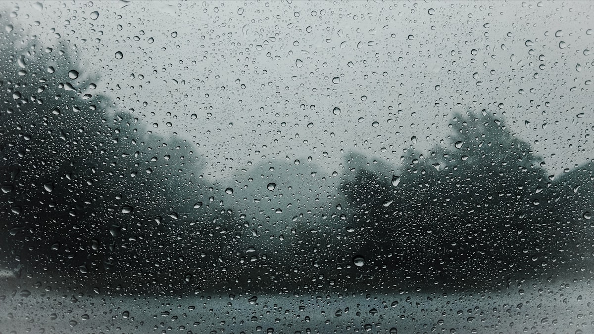 The Slow Season: When Feeling Worse Is Actually a Sign You Survived