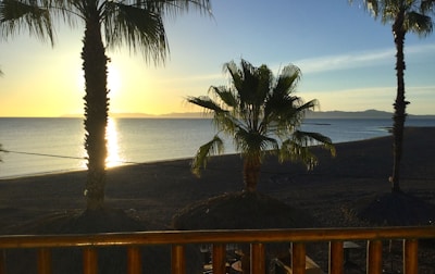 Sunset over a calm ocean with palm trees silhouetted on the shore.