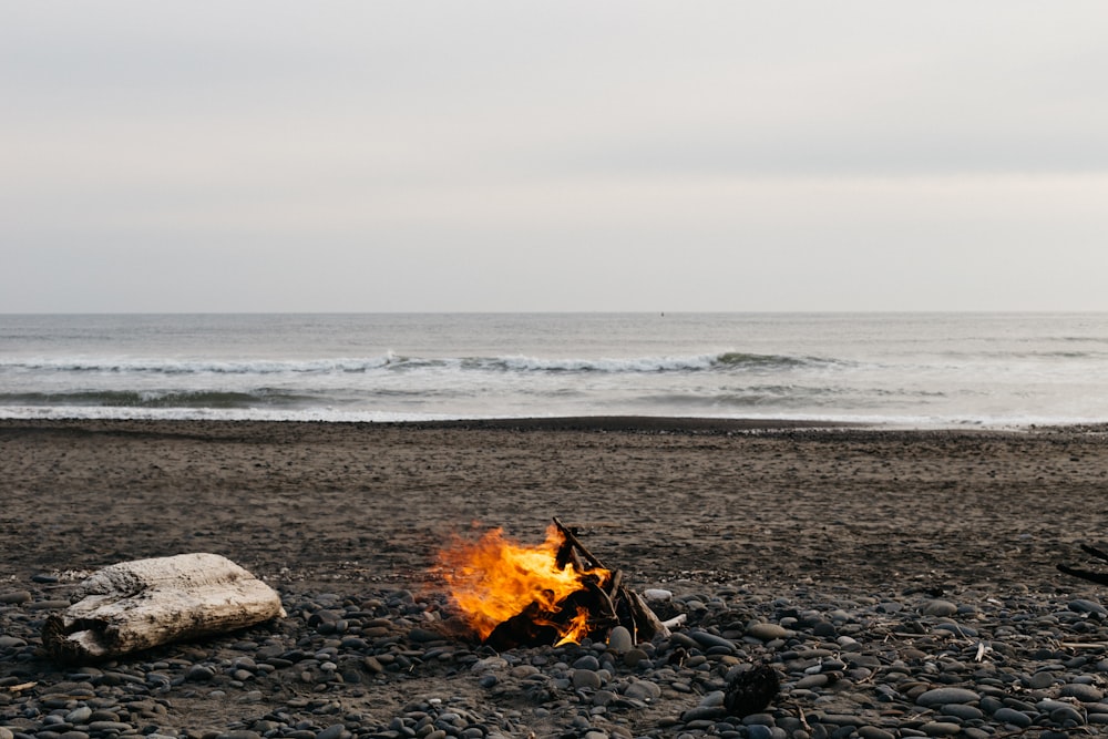 bonfire on beach during daytime