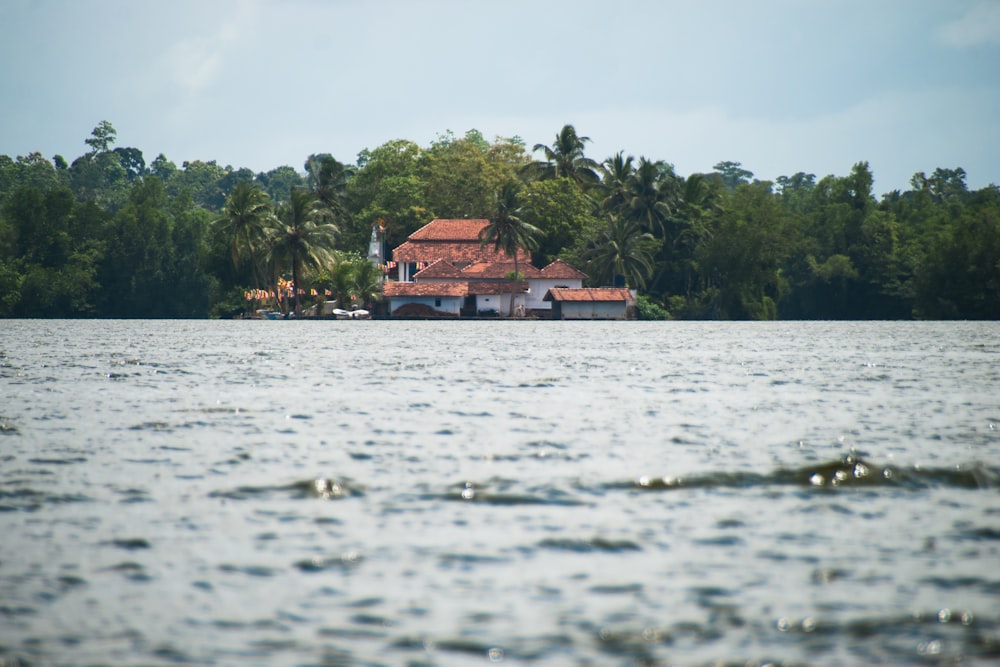 white and brown house on island