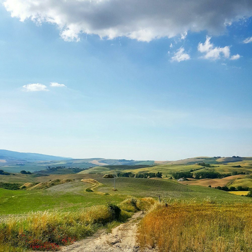 Grünpflanzen über Tal und Berge unter blauem Himmel