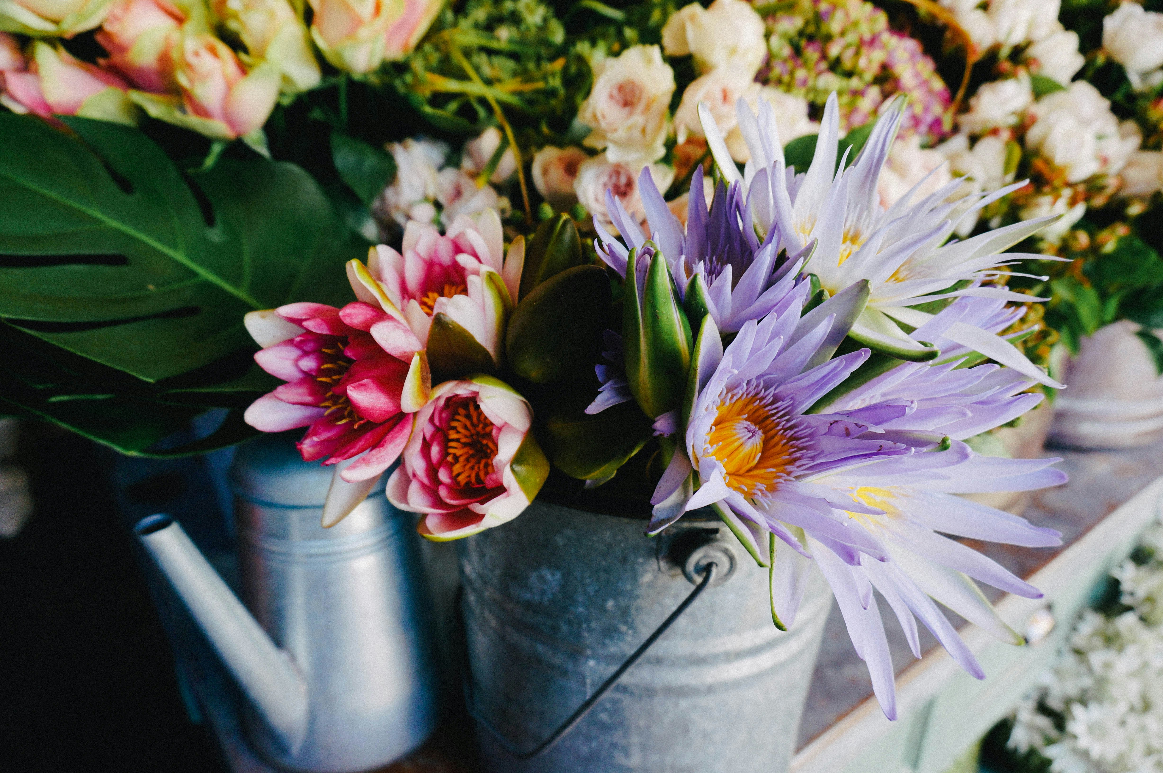 Free Unsplash photo from Denise Chan