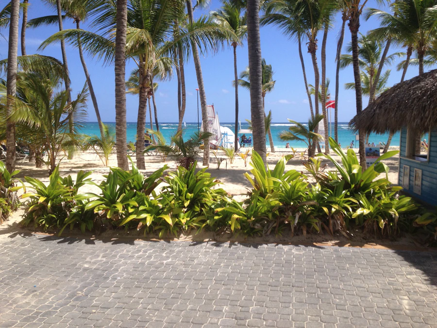 Punta Cana