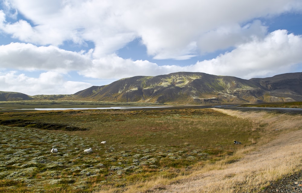 Foto von grünem Grasfeld und Berg unter blauem Himmel