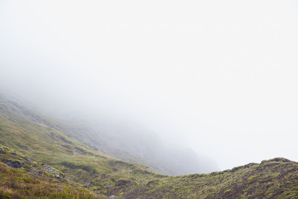 green mountain and fog