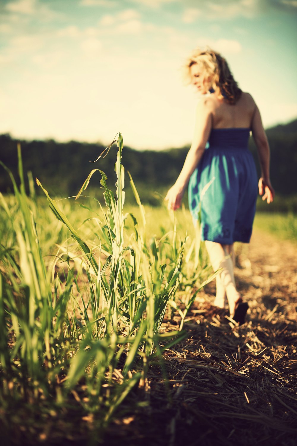 selective focus photo of woman wearing blue dress standing on grass field