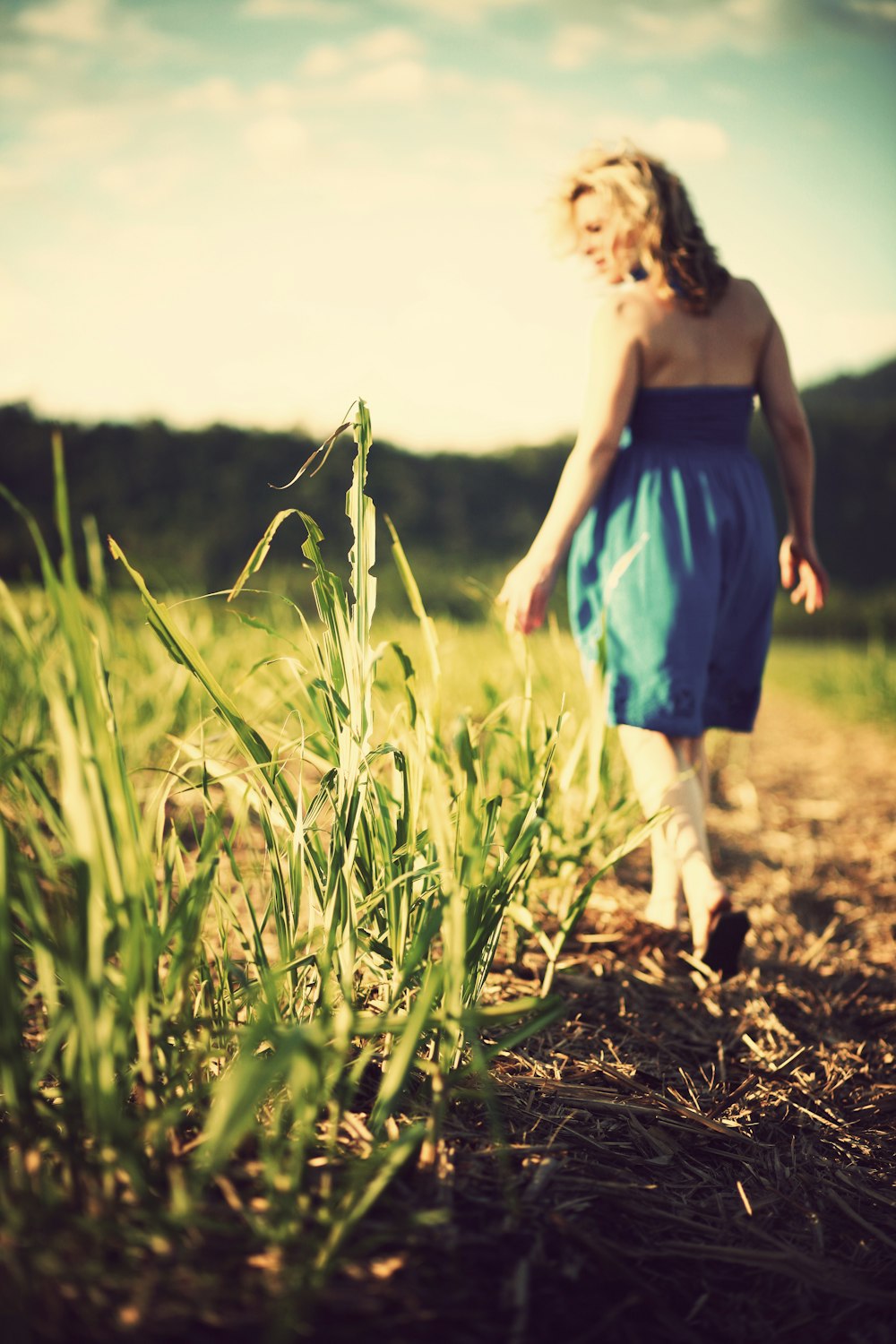 Photo de mise au point sélective d’une femme portant une robe bleue debout sur un champ d’herbe