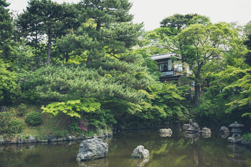 house near trees and body of water