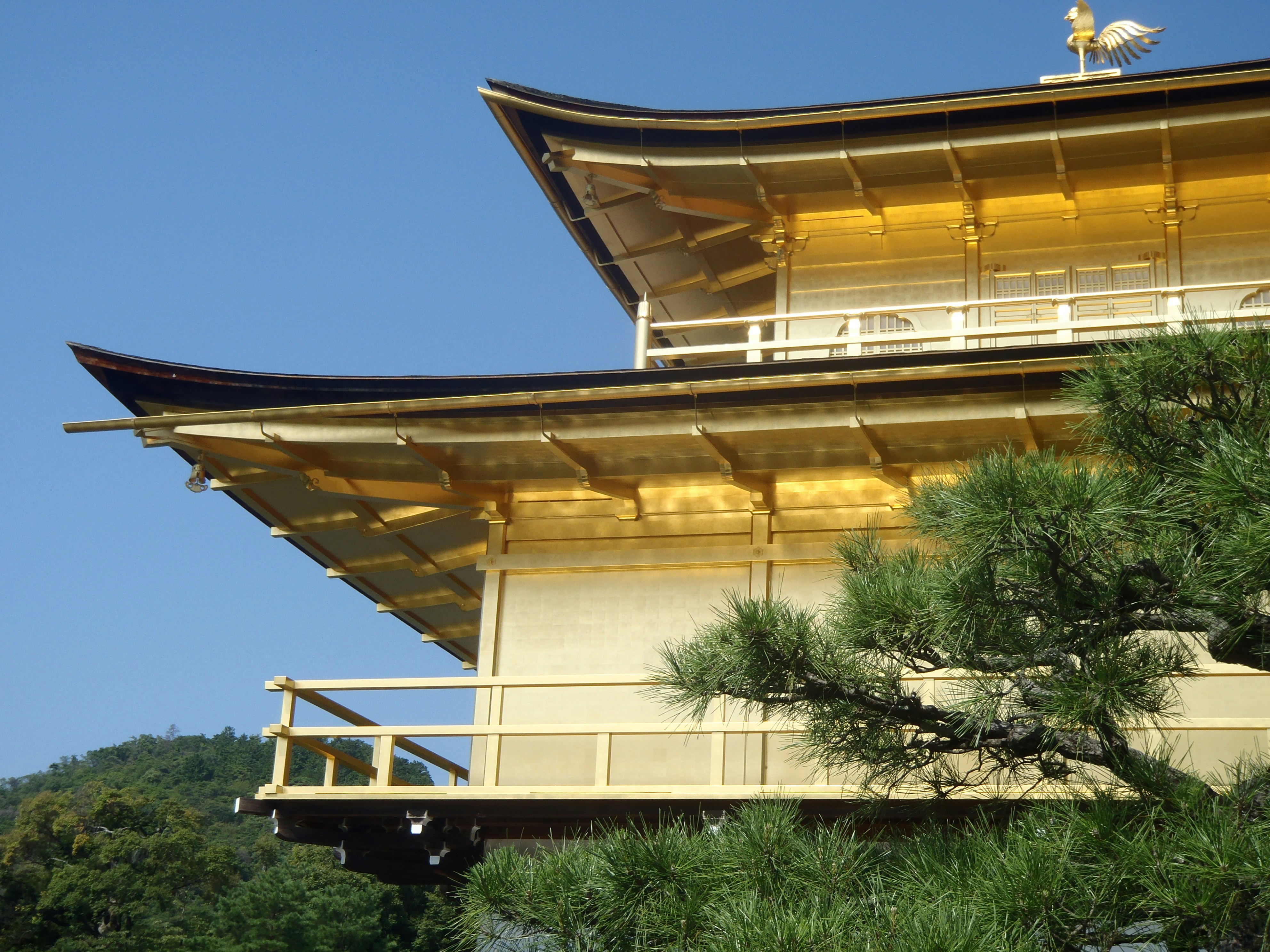 Free Unsplash photo from Scarper Montgomery