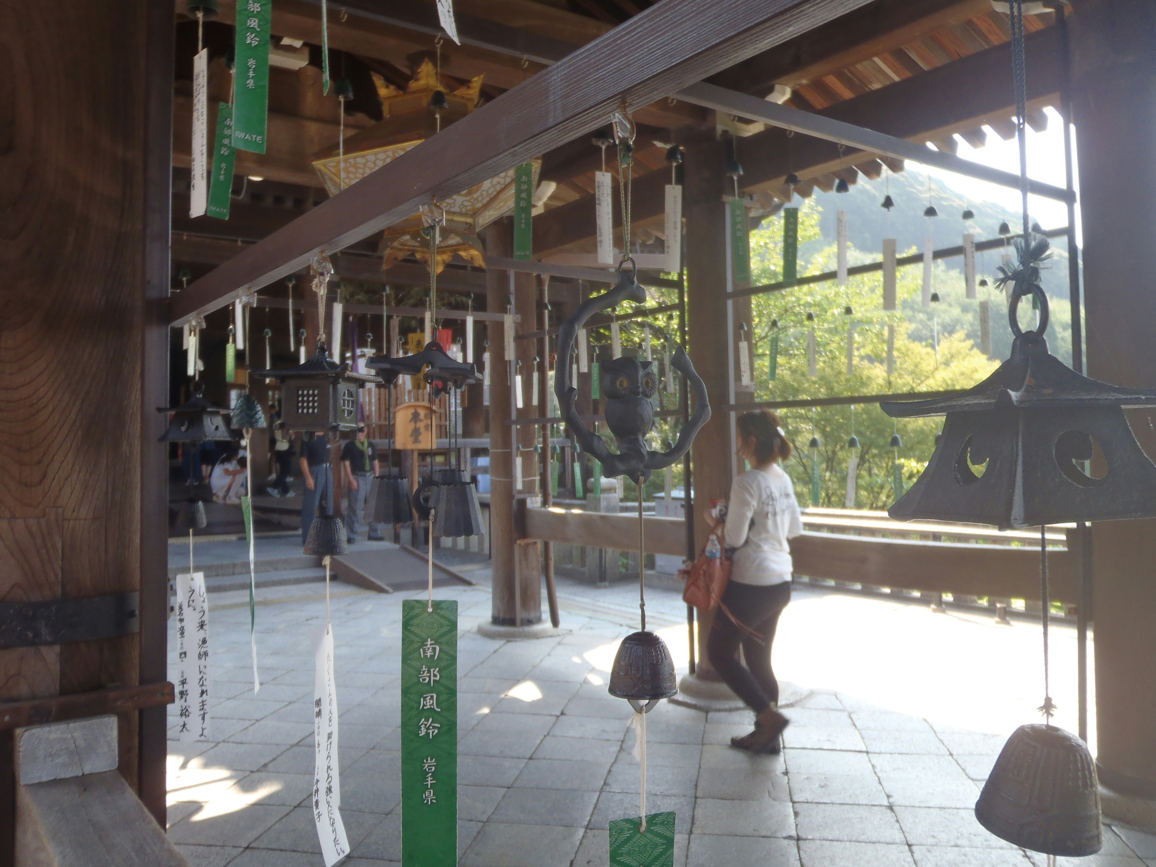 Free Unsplash photo from Scarper Montgomery