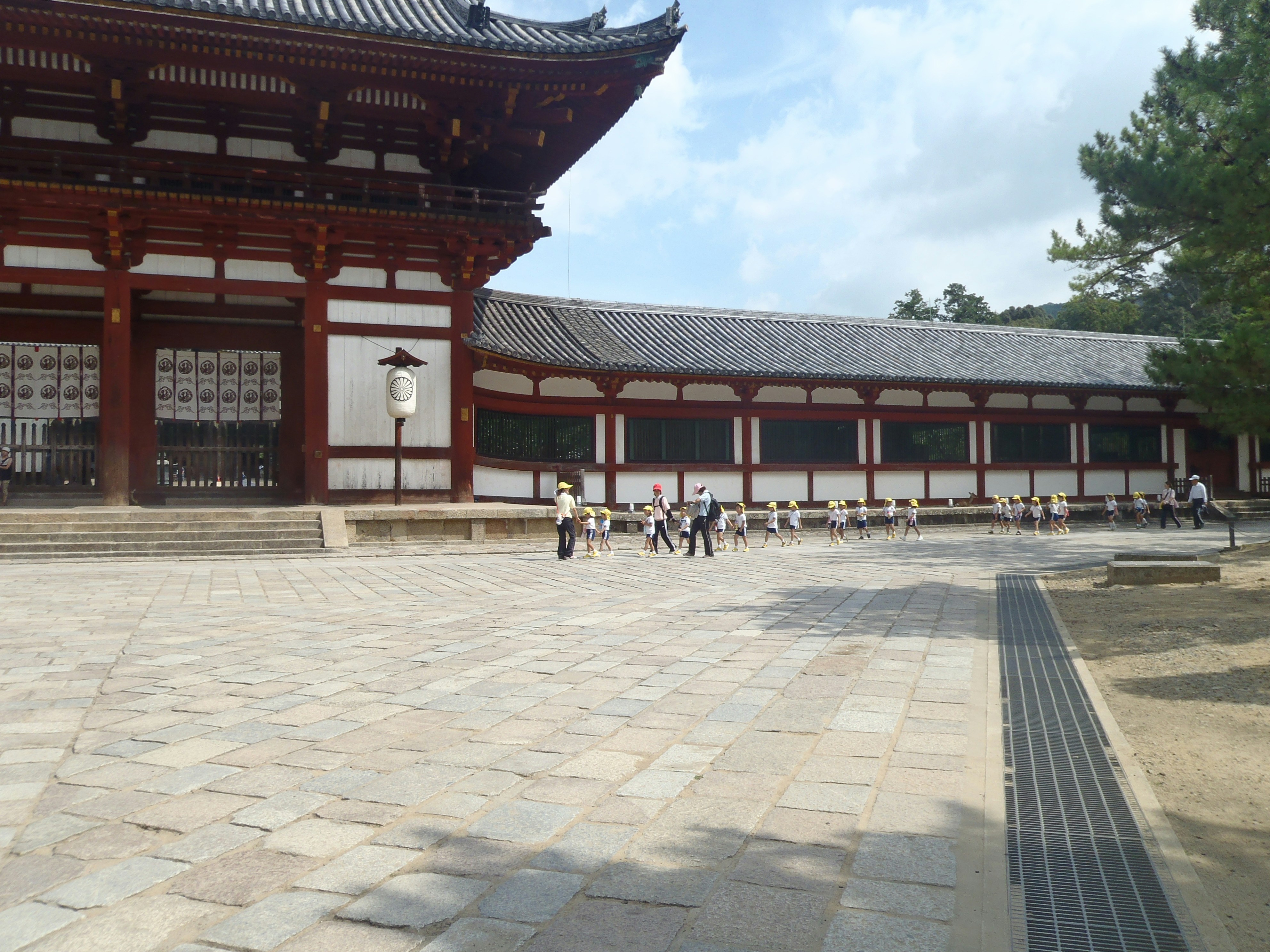 Free Unsplash photo from Scarper Montgomery