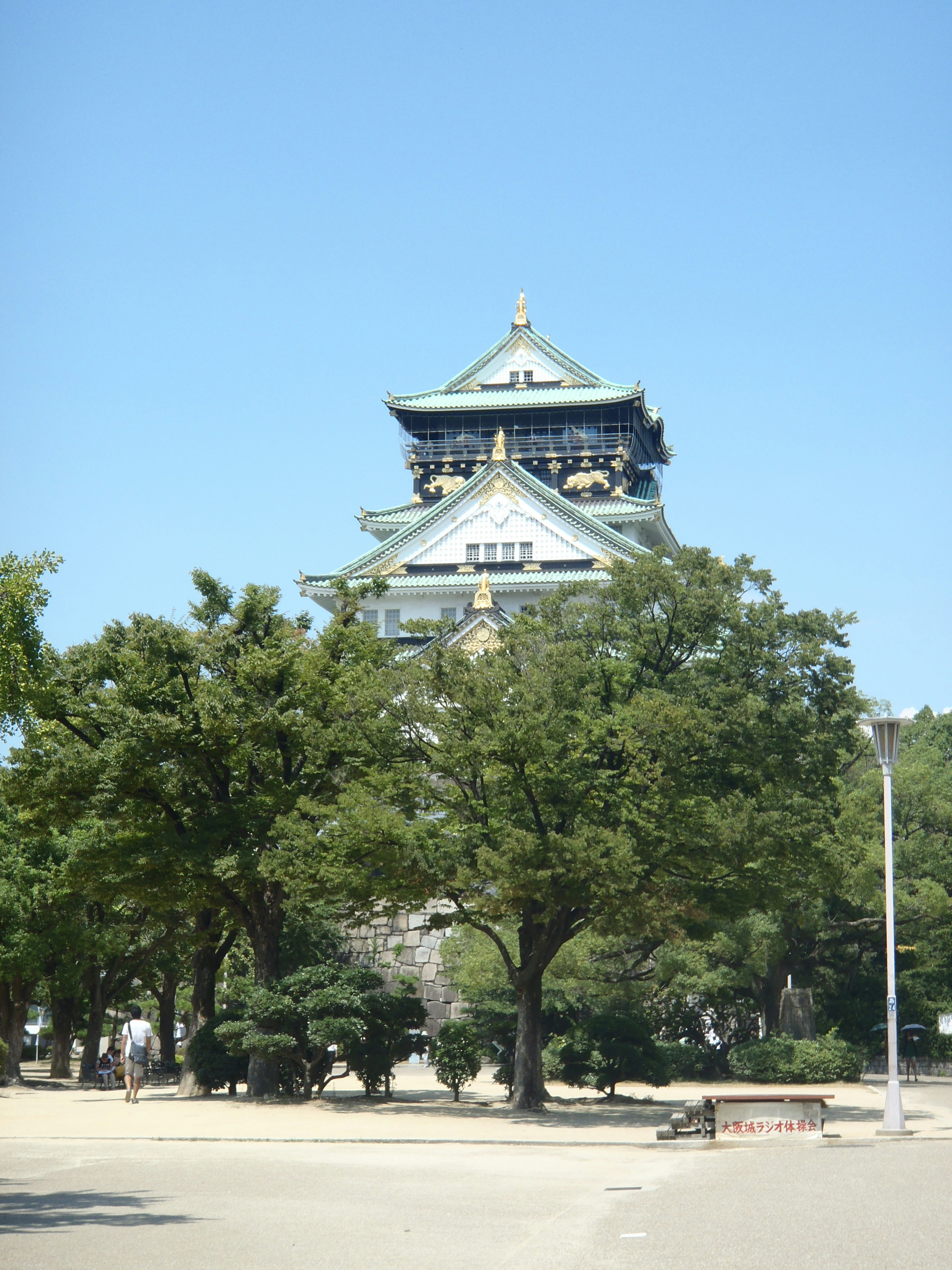 Free Unsplash photo from Scarper Montgomery