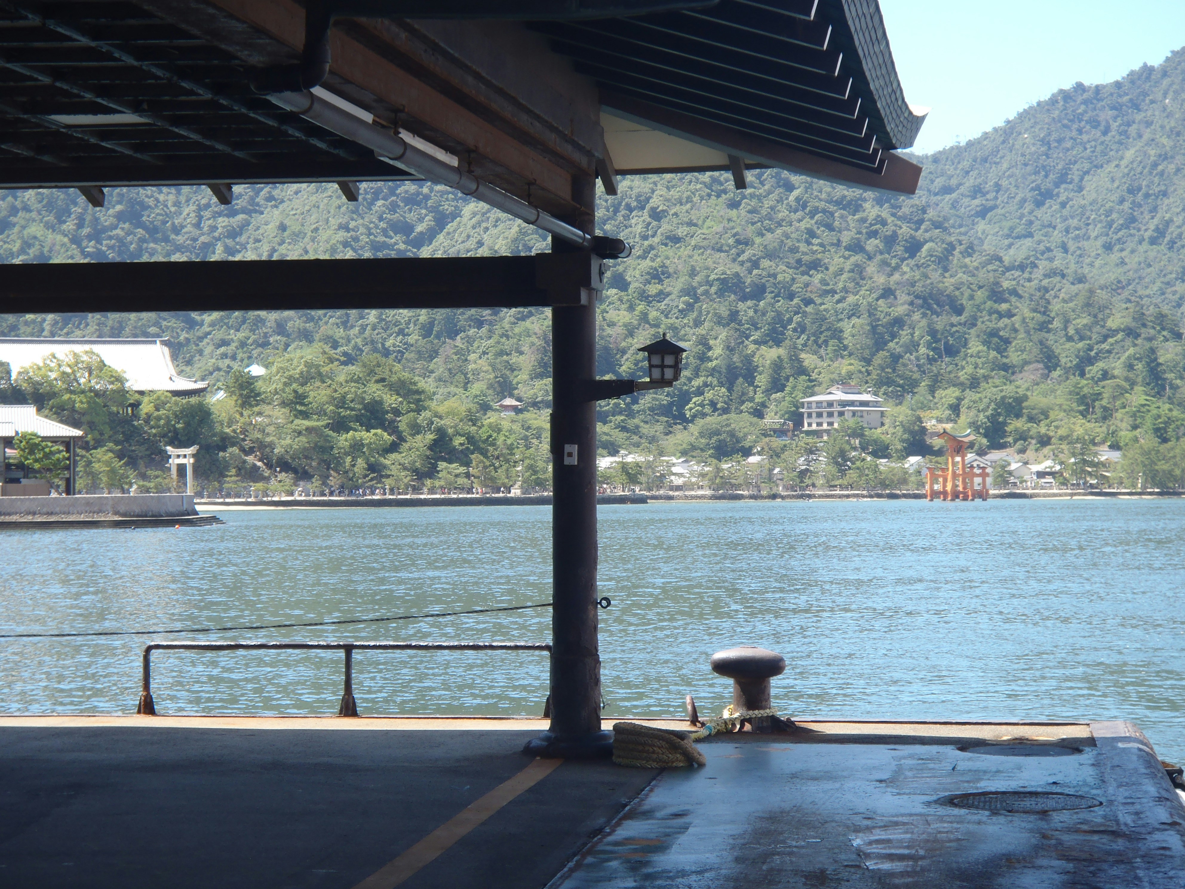 Free Unsplash photo from Scarper Montgomery