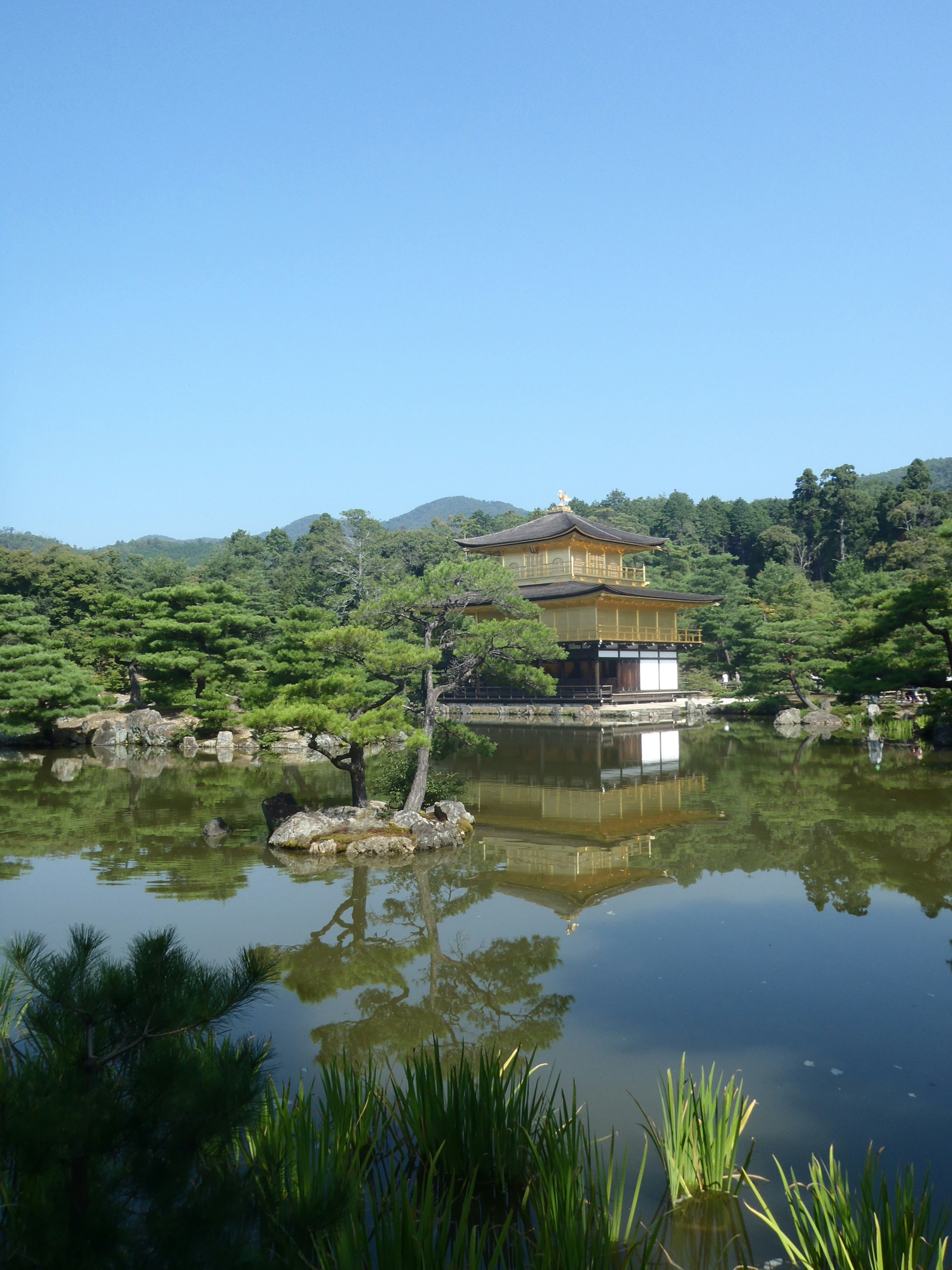 Free Unsplash photo from Scarper Montgomery