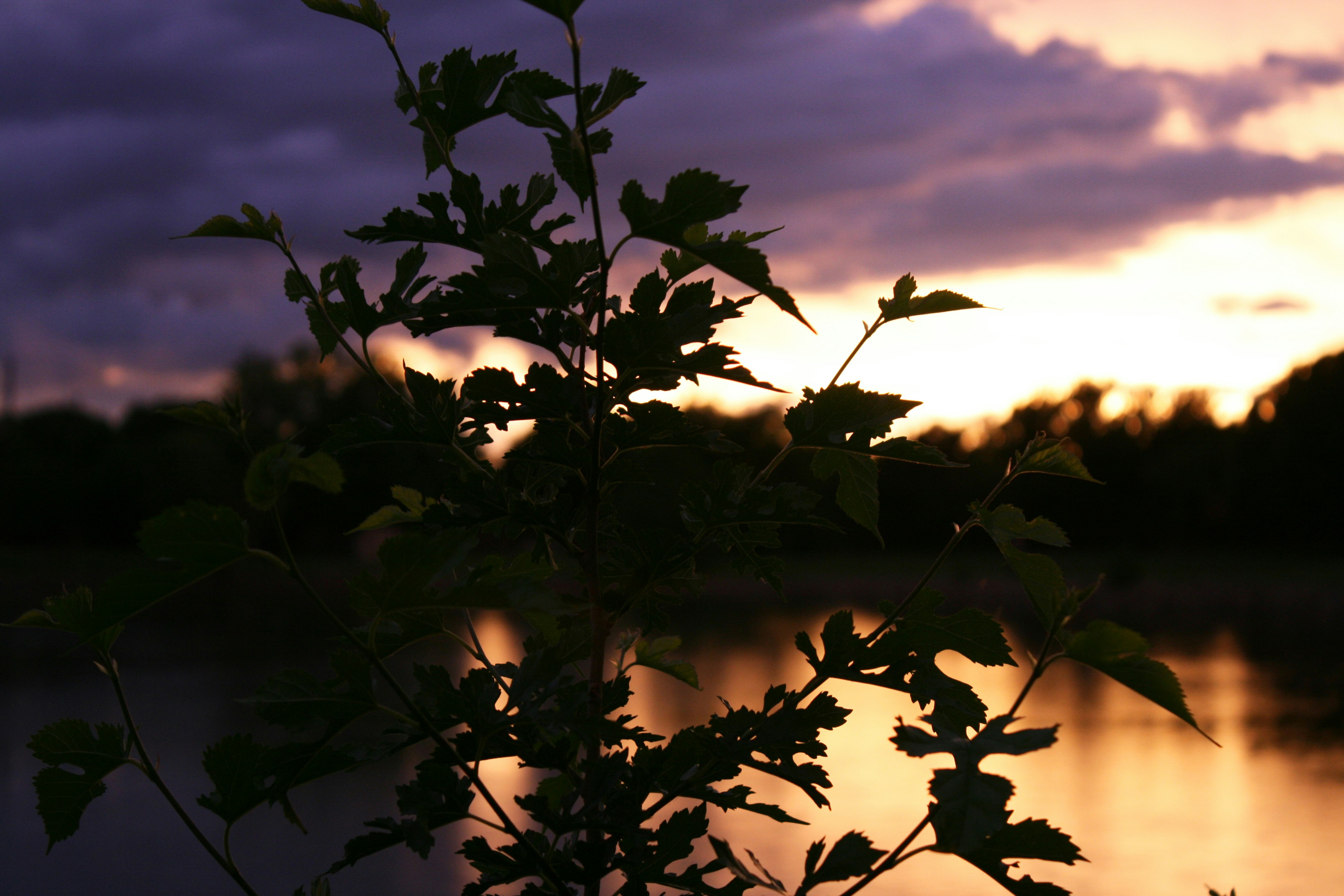 Free Unsplash photo from Allison Shockley