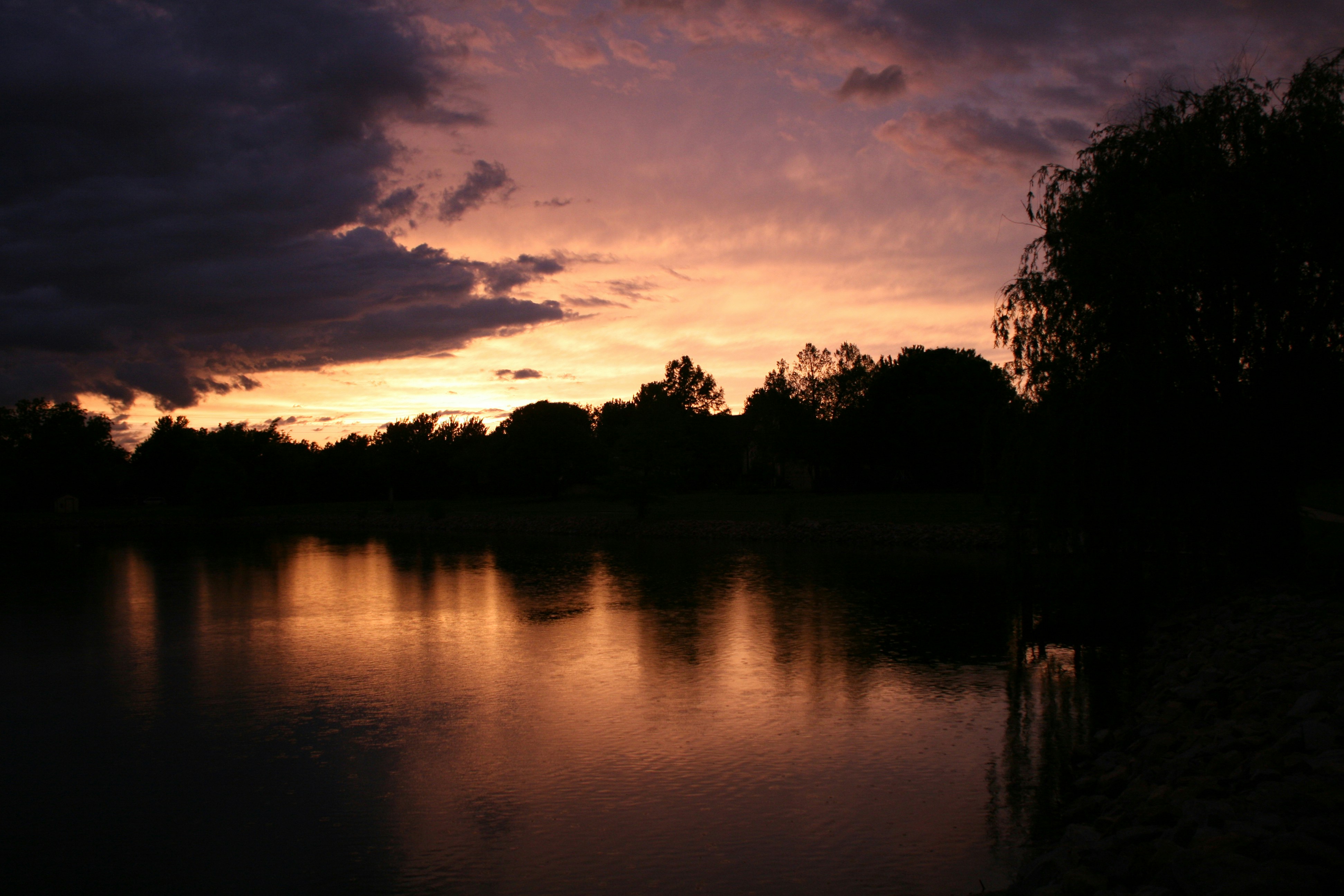 Free Unsplash photo from Allison Shockley