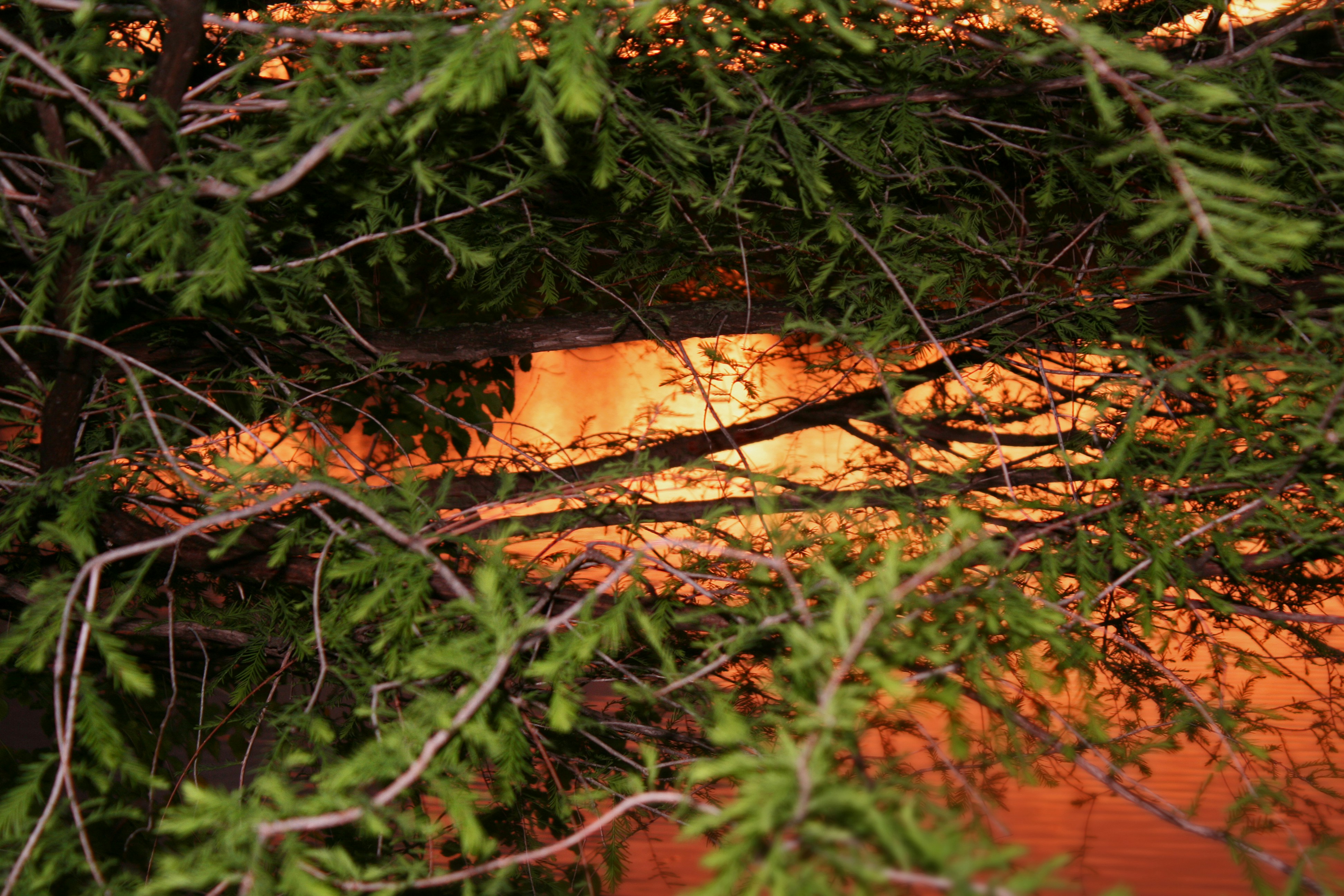 Free Unsplash photo from Allison Shockley