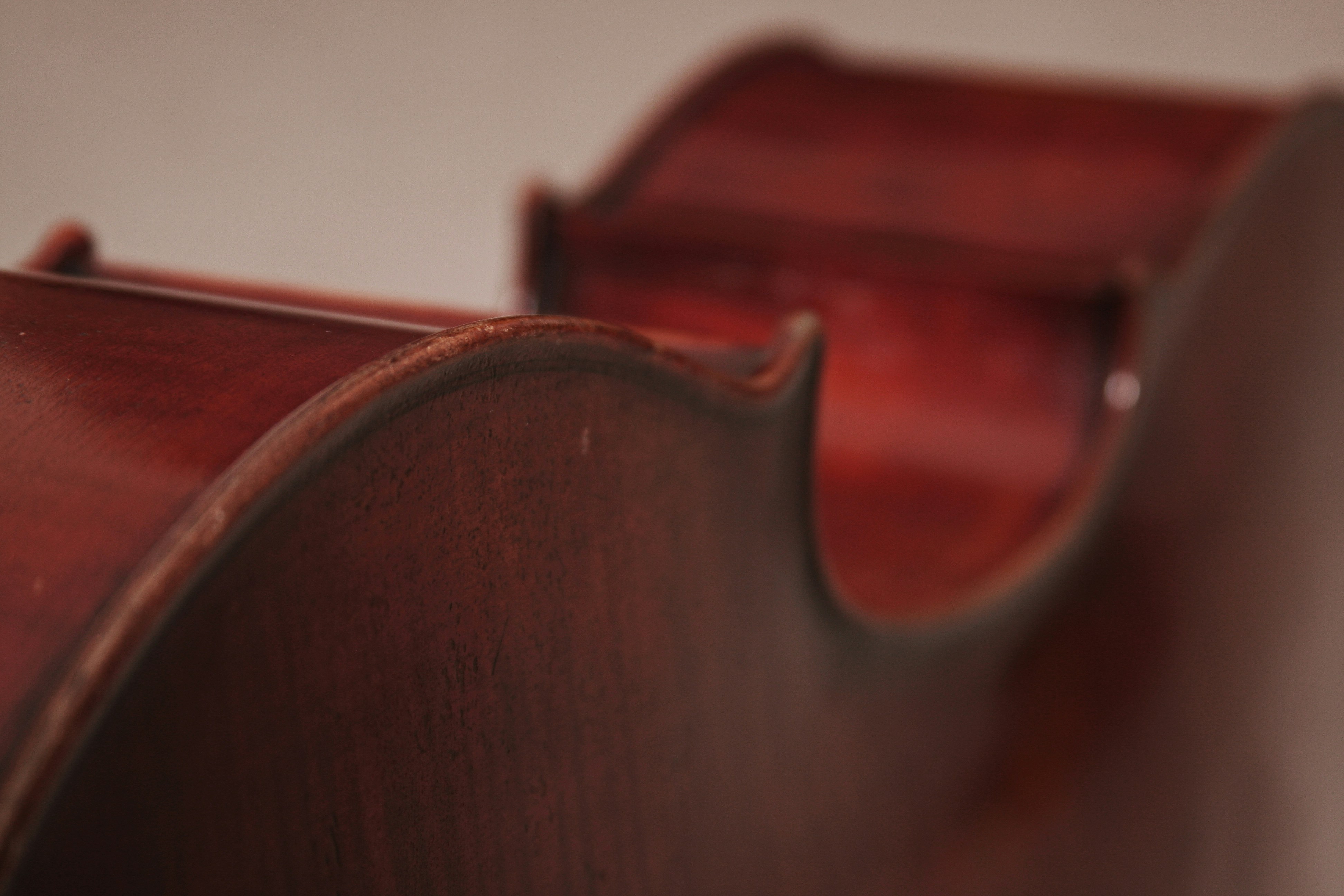 Free Unsplash photo from Allison Shockley