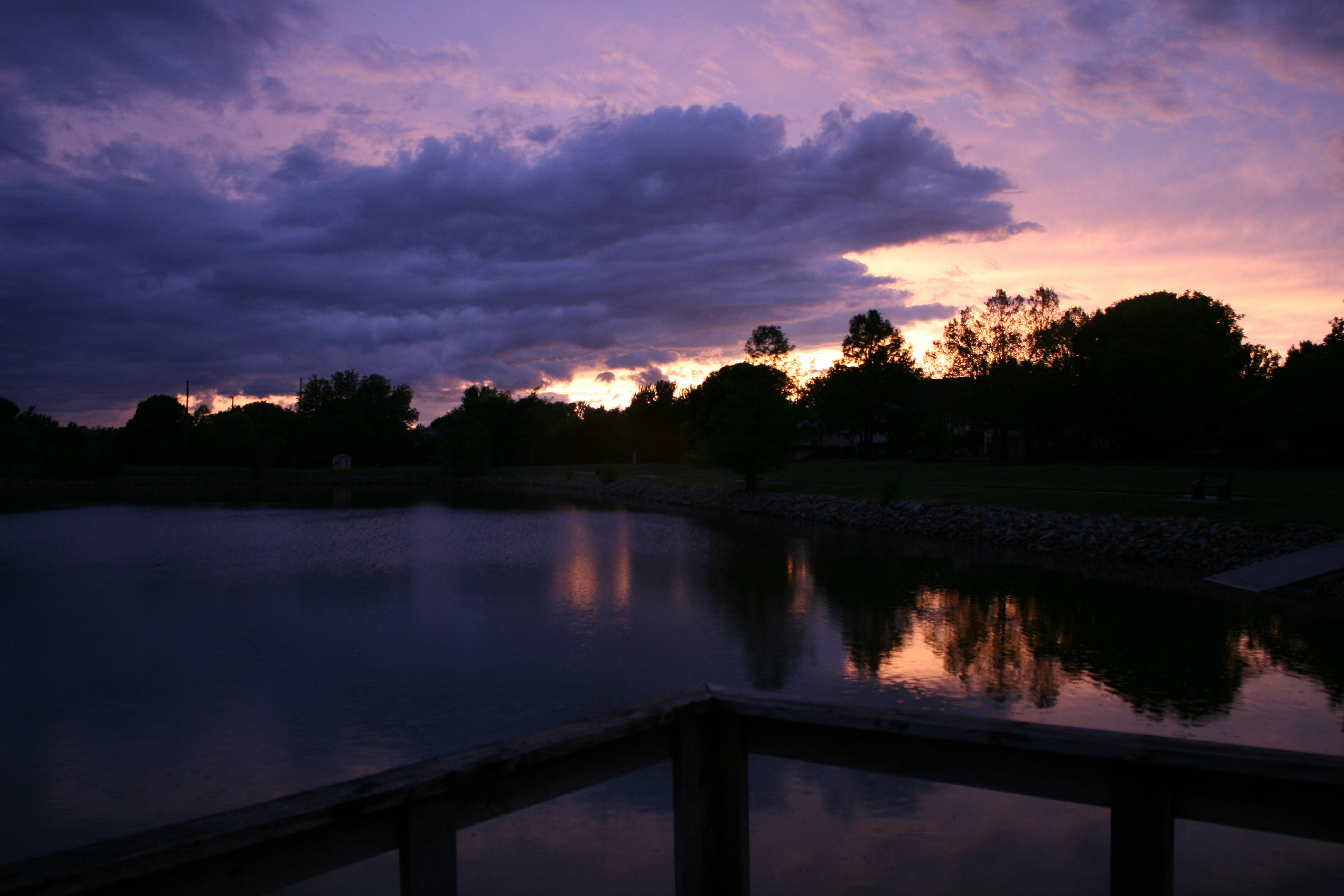 Free Unsplash photo from Allison Shockley