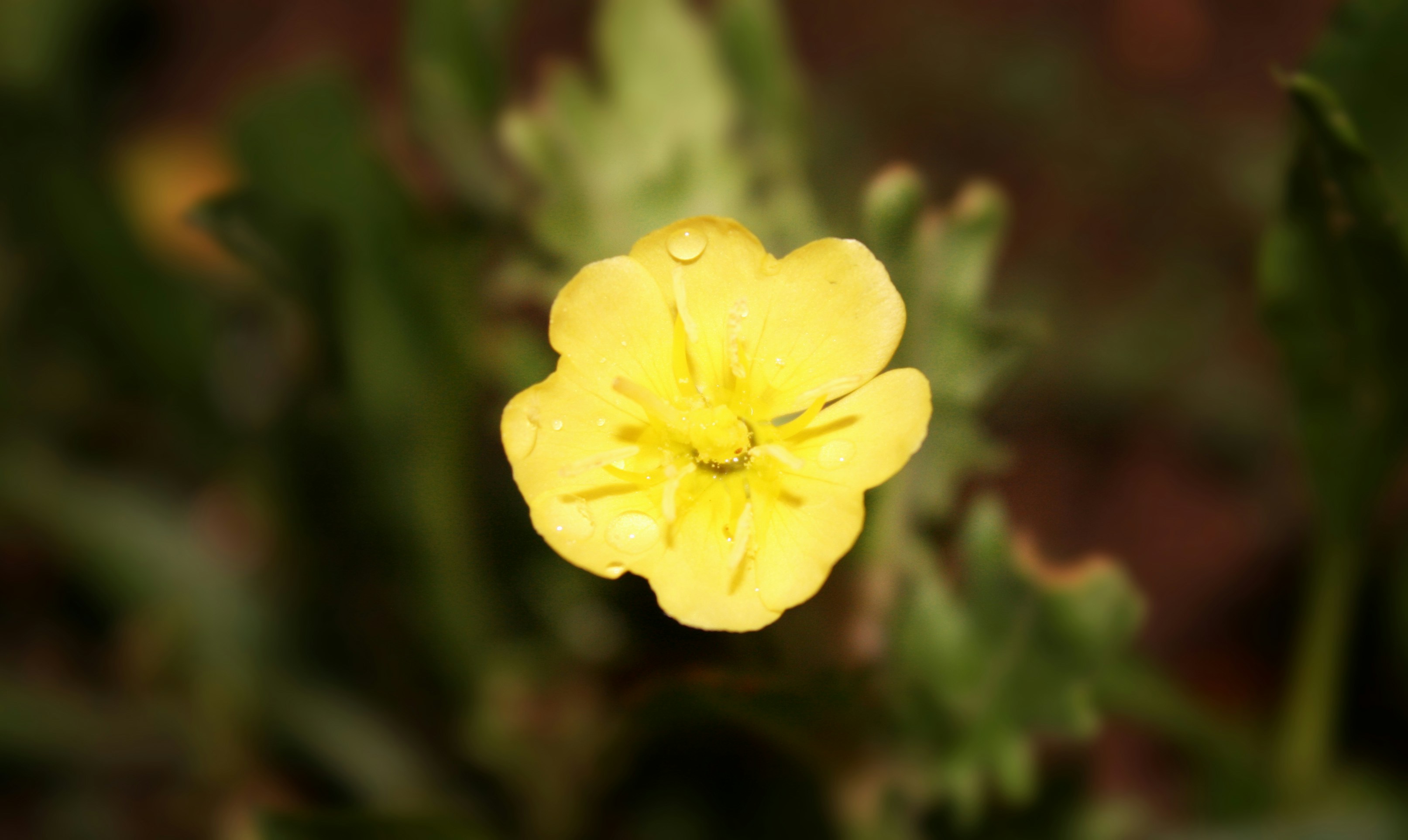 Free Unsplash photo from Allison Shockley